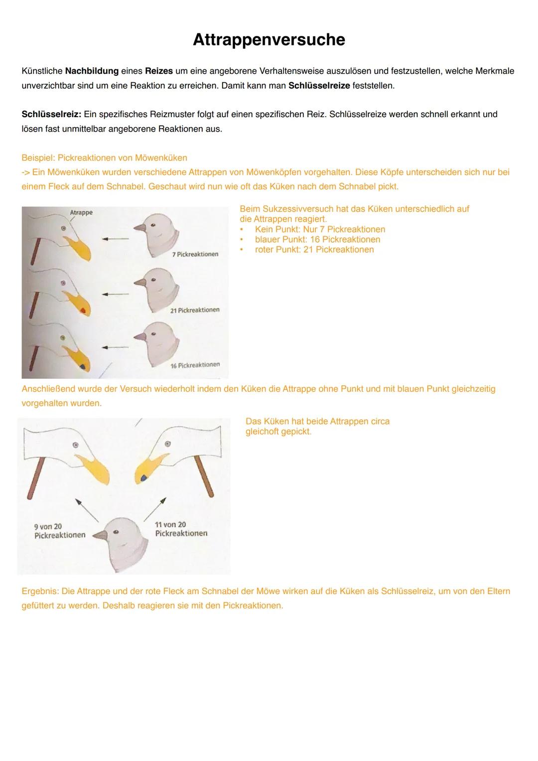 Q3.2 Verhaltensbiologie
grundlegendes Niveau (Grundkurs und Leistungskurs)
- Attrappenversuche (Prinzip).
proximate (exogen und endogen) und