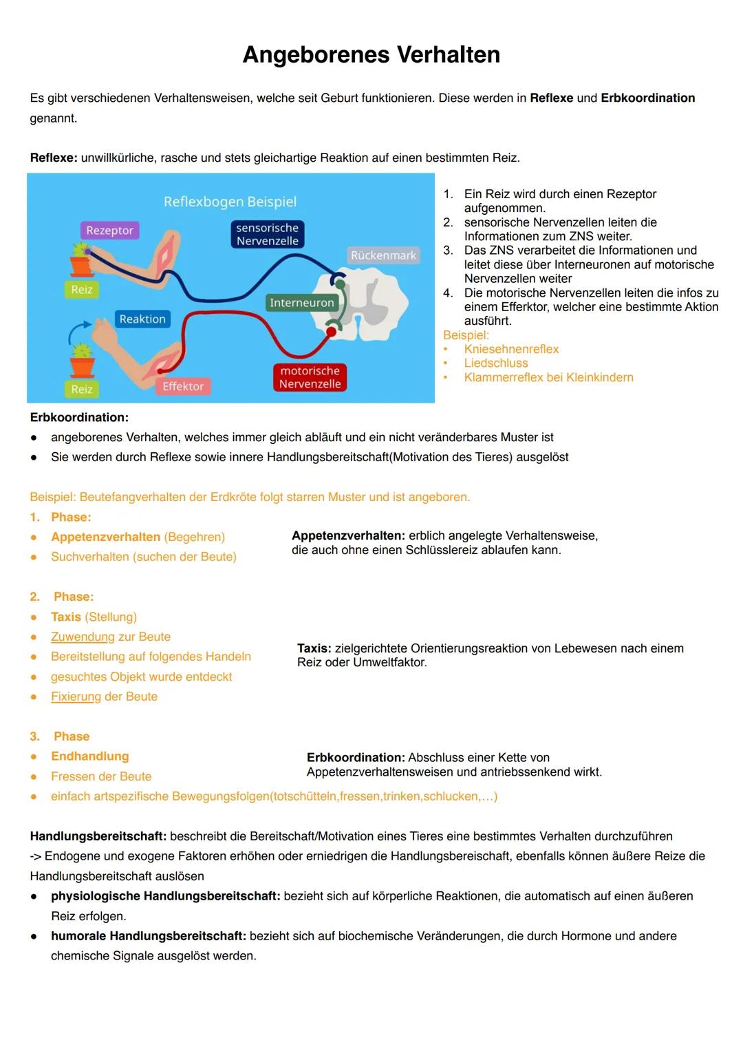 Q3.2 Verhaltensbiologie
grundlegendes Niveau (Grundkurs und Leistungskurs)
- Attrappenversuche (Prinzip).
proximate (exogen und endogen) und