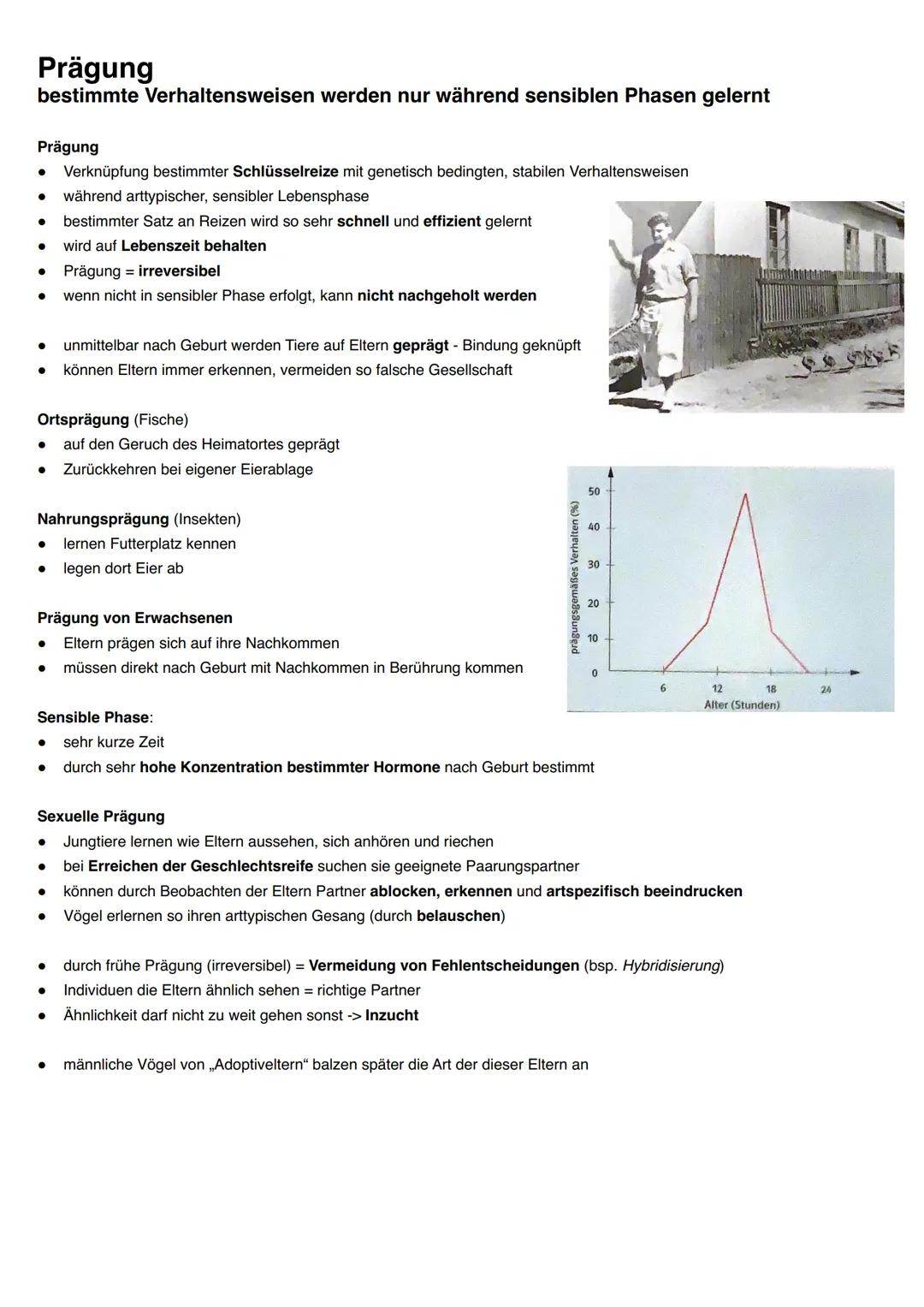 Q3.2 Verhaltensbiologie
grundlegendes Niveau (Grundkurs und Leistungskurs)
- Attrappenversuche (Prinzip).
proximate (exogen und endogen) und