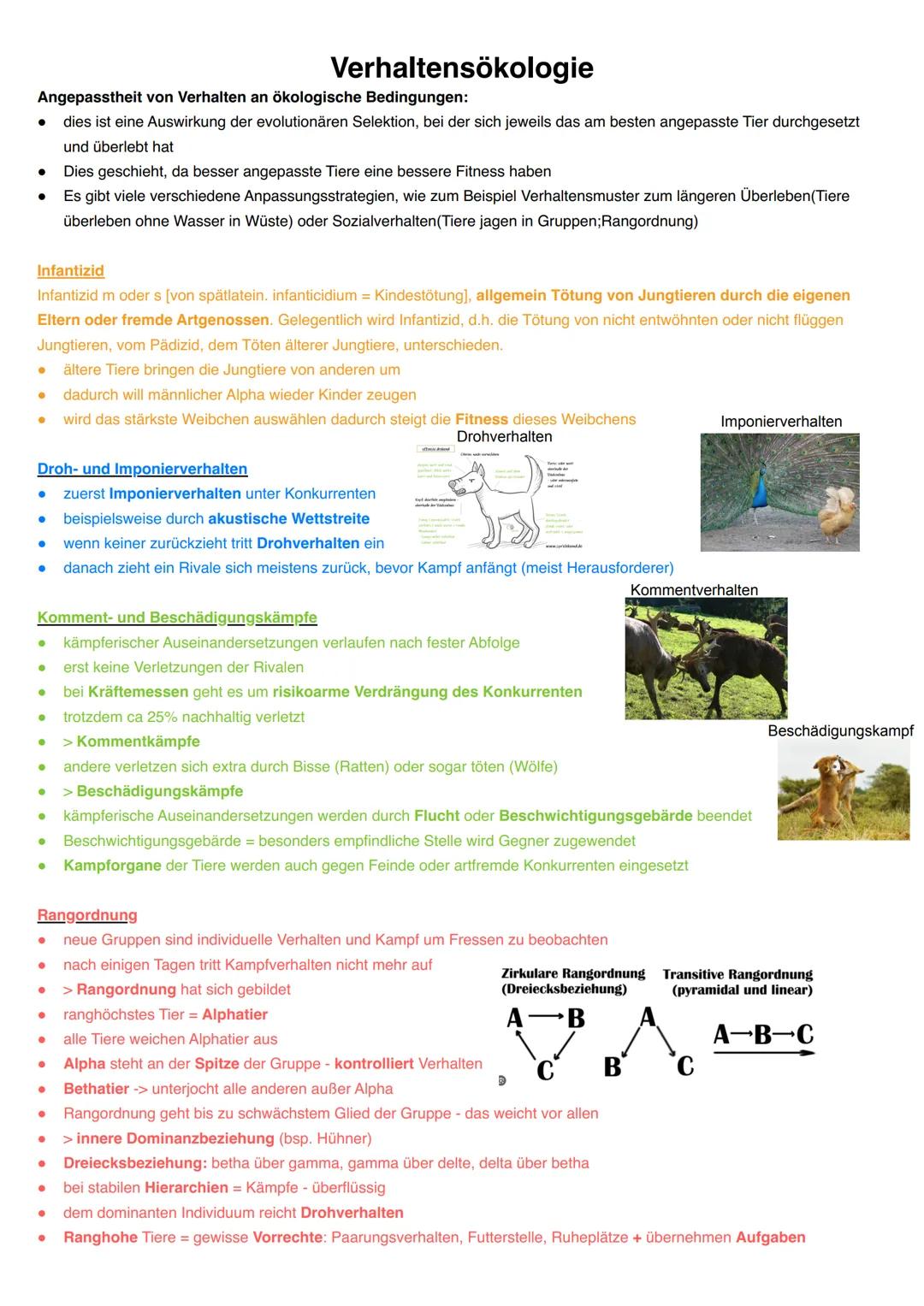 Q3.2 Verhaltensbiologie
grundlegendes Niveau (Grundkurs und Leistungskurs)
- Attrappenversuche (Prinzip).
proximate (exogen und endogen) und