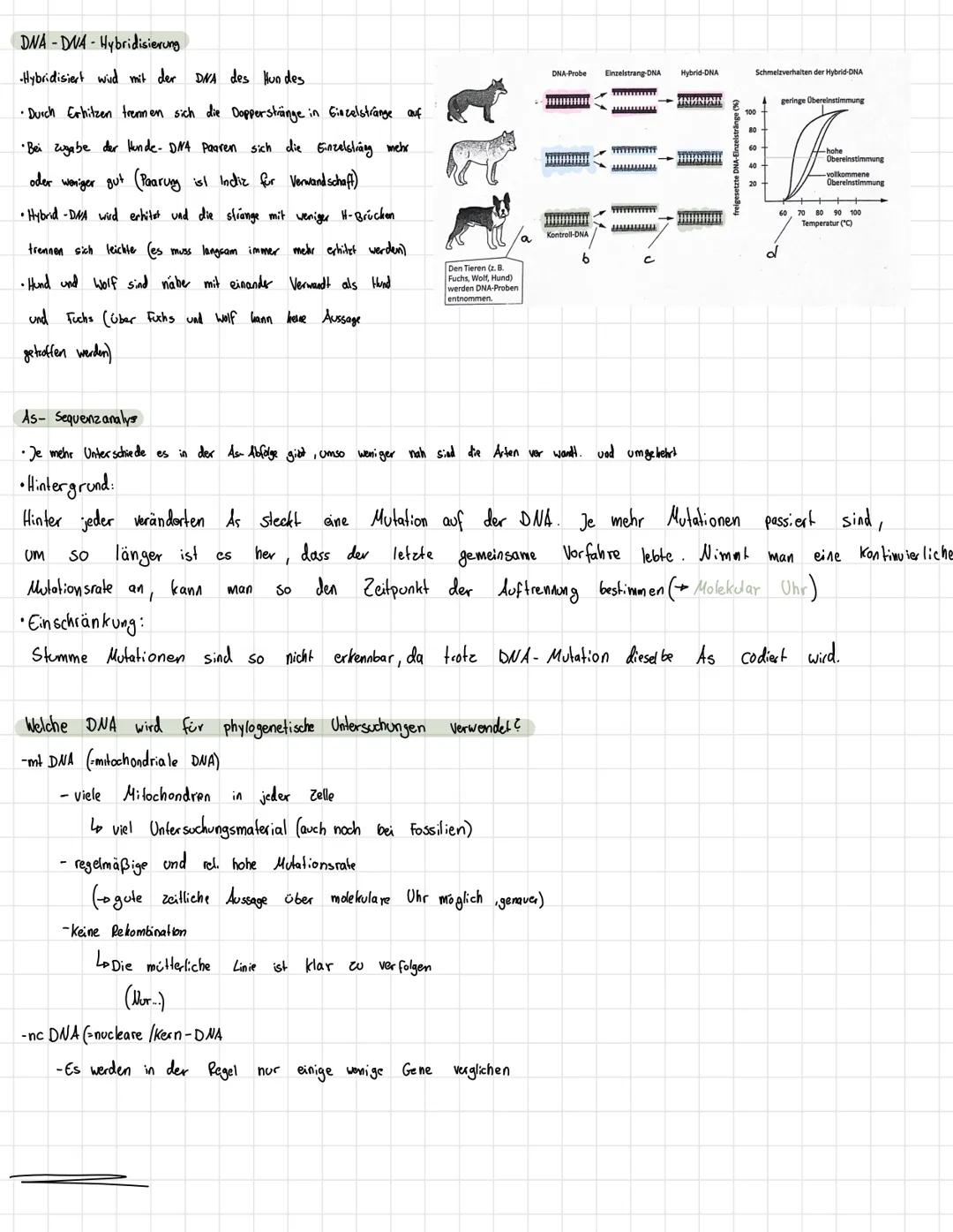 # E V O L U T I O N
Evolutionstheorie
Lamarck
- Artwan del
- Vervollkommungstrieb
- vermehrter/verminderter Gebrav
- lückbildung/Stärkung