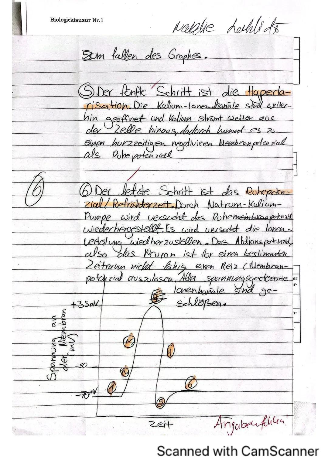 Biologieklausur Nr.1
iologie (Hö)
lasse 136
rreichte Punktzahl: 35
lote:
Klausur „Neurobiologie"
Name:
von 40 Punkten
13 Hó
Allgemein:
- Li