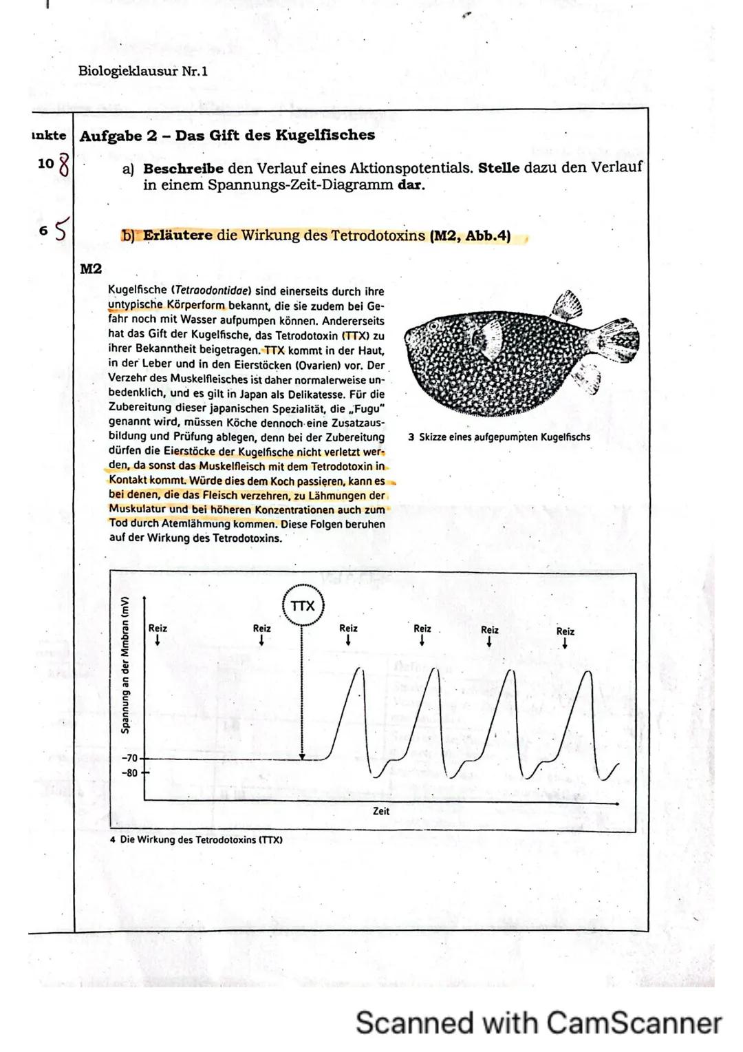 Biologieklausur Nr.1
iologie (Hö)
lasse 136
rreichte Punktzahl: 35
lote:
Klausur „Neurobiologie"
Name:
von 40 Punkten
13 Hó
Allgemein:
- Li