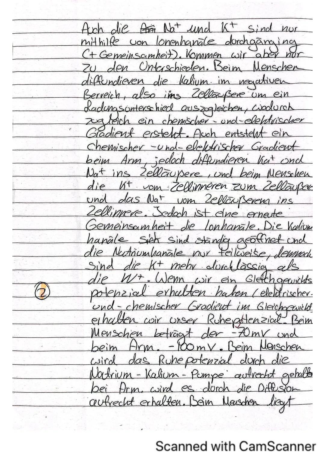 Biologieklausur Nr.1
iologie (Hö)
lasse 136
rreichte Punktzahl: 35
lote:
Klausur „Neurobiologie"
Name:
von 40 Punkten
13 Hó
Allgemein:
- Li