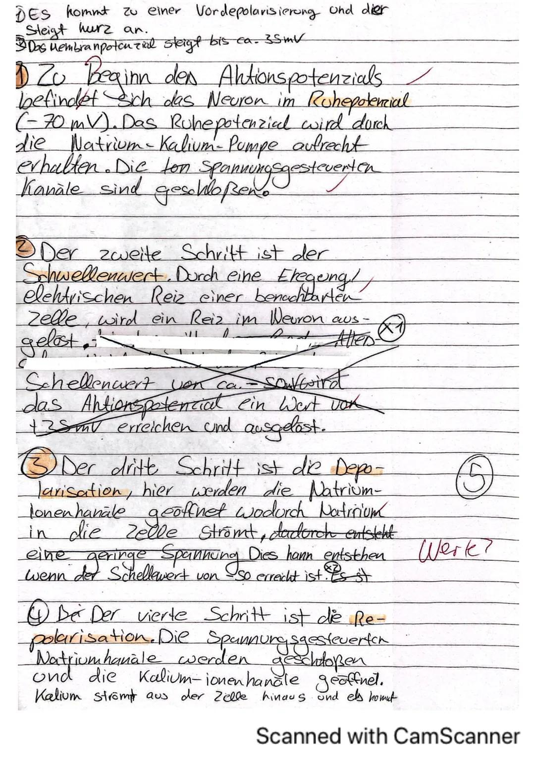 Biologieklausur Nr.1
iologie (Hö)
lasse 136
rreichte Punktzahl: 35
lote:
Klausur „Neurobiologie"
Name:
von 40 Punkten
13 Hó
Allgemein:
- Li