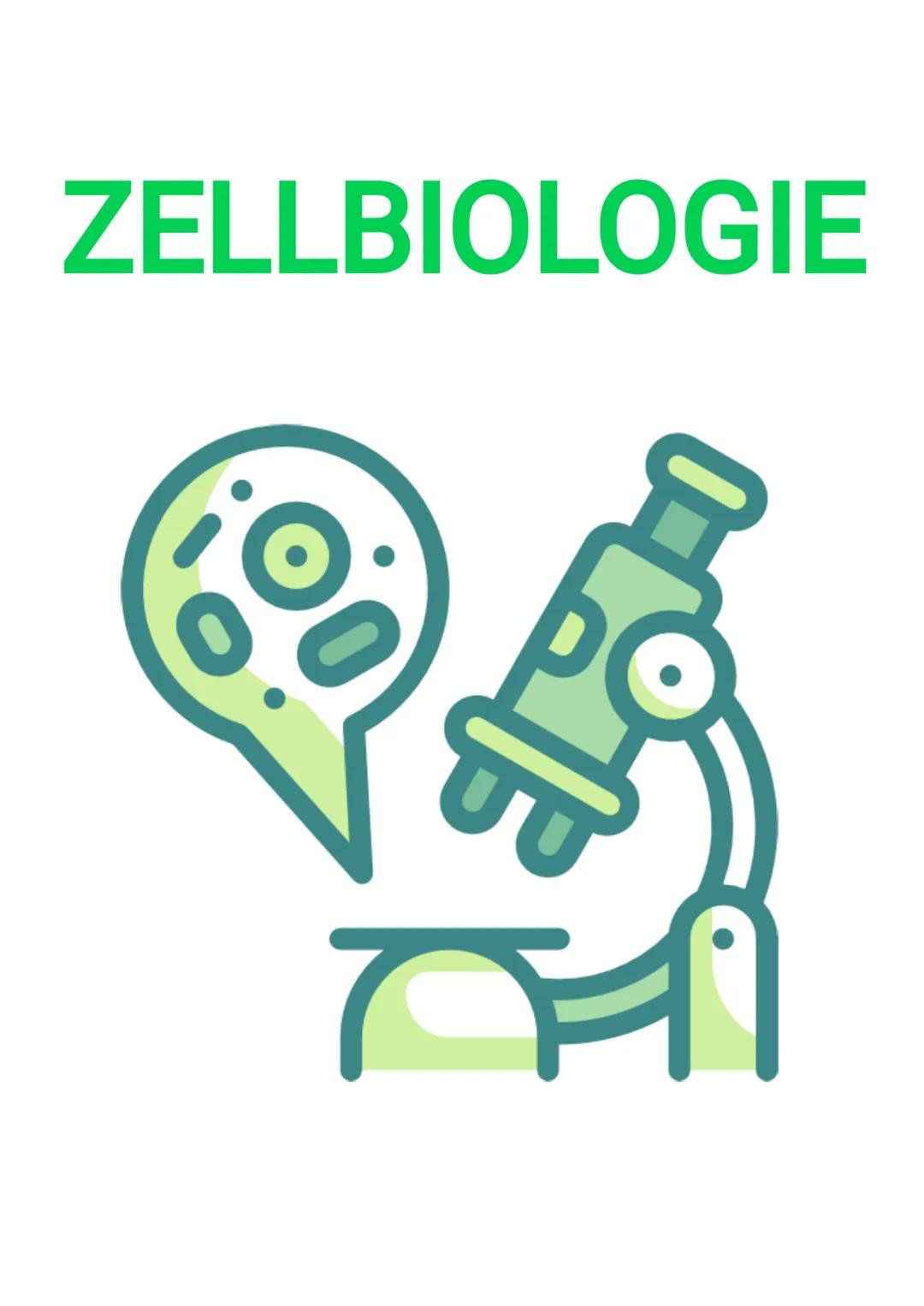 ZELLBIOLOGIE 1. Die Zellehre
alles Leben besteht aus einer / mehreren Zellen
kleinste funktionelle Einheit des Lebens
jede Zelle entsteht au
