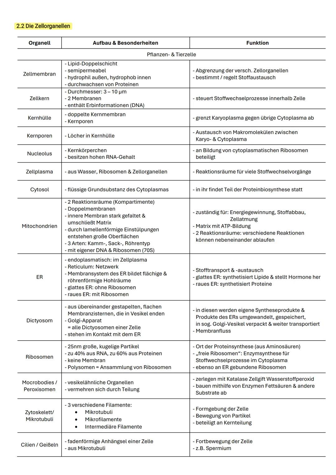 ZELLBIOLOGIE 1. Die Zellehre
alles Leben besteht aus einer / mehreren Zellen
kleinste funktionelle Einheit des Lebens
jede Zelle entsteht au