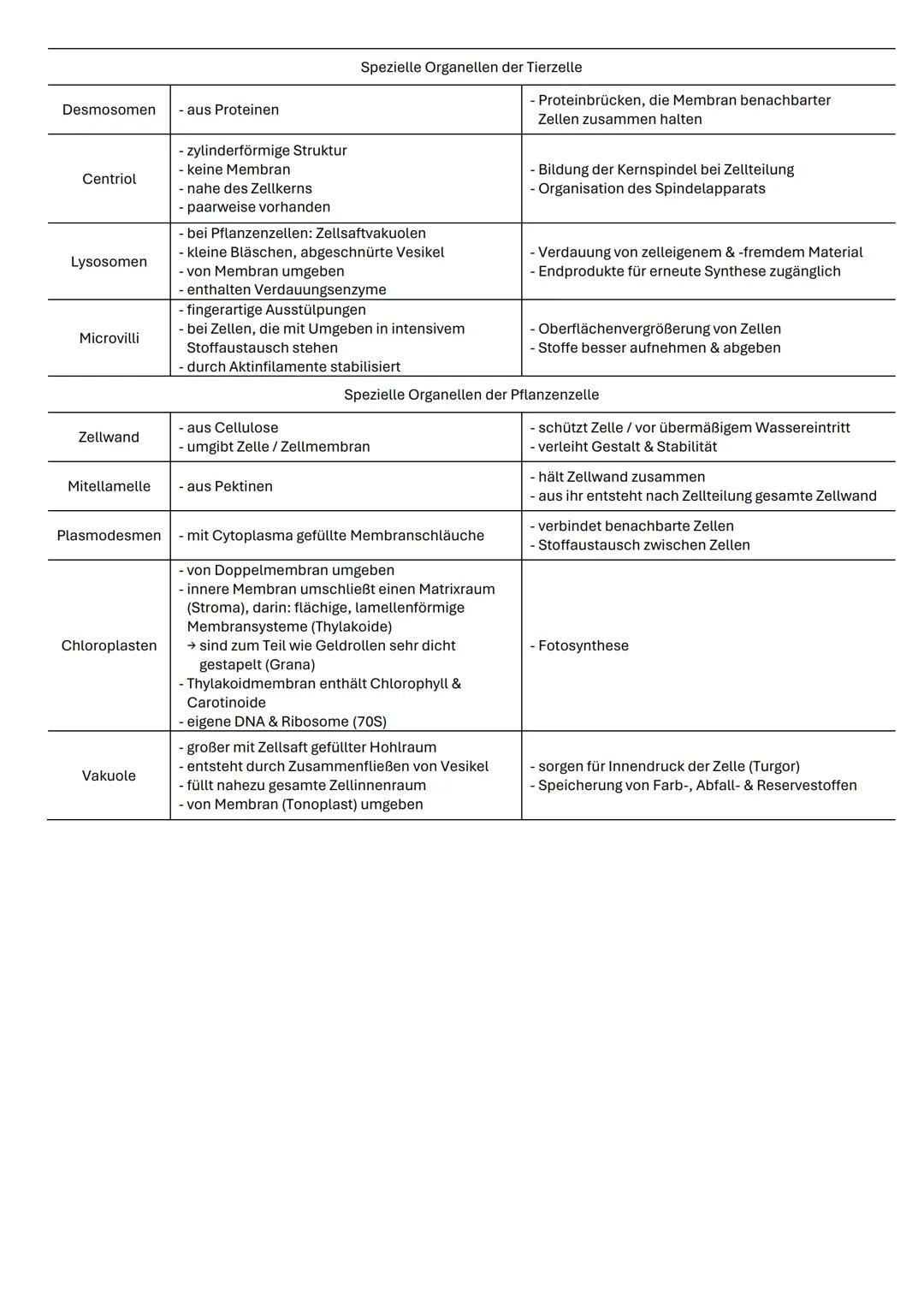 ZELLBIOLOGIE 1. Die Zellehre
alles Leben besteht aus einer / mehreren Zellen
kleinste funktionelle Einheit des Lebens
jede Zelle entsteht au