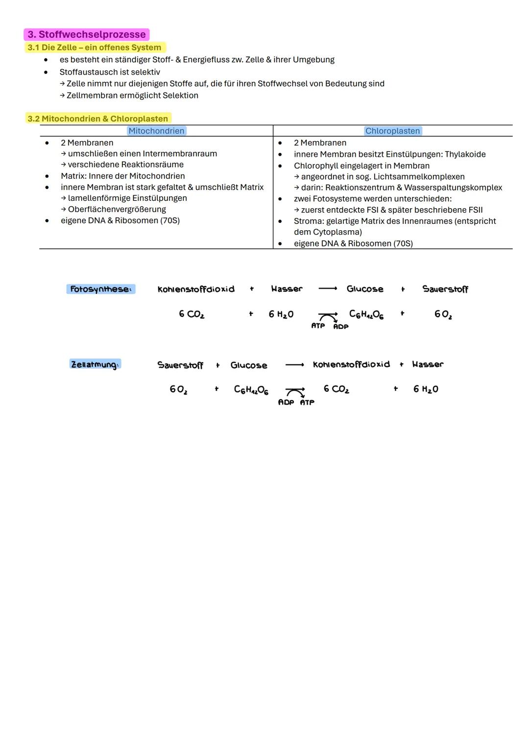 ZELLBIOLOGIE 1. Die Zellehre
alles Leben besteht aus einer / mehreren Zellen
kleinste funktionelle Einheit des Lebens
jede Zelle entsteht au