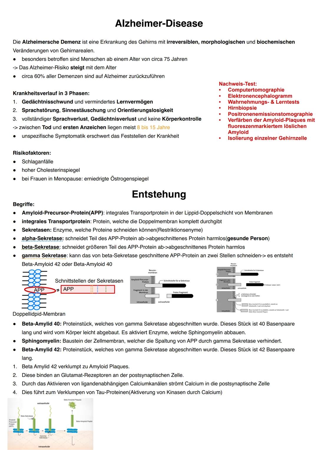 Q3.3 Neurologische Erkrankungen
grundlegendes Niveau (Grundkurs und Leistungskurs)
neurologisch bedingte Erkrankungen des Menschen (Prinzip: