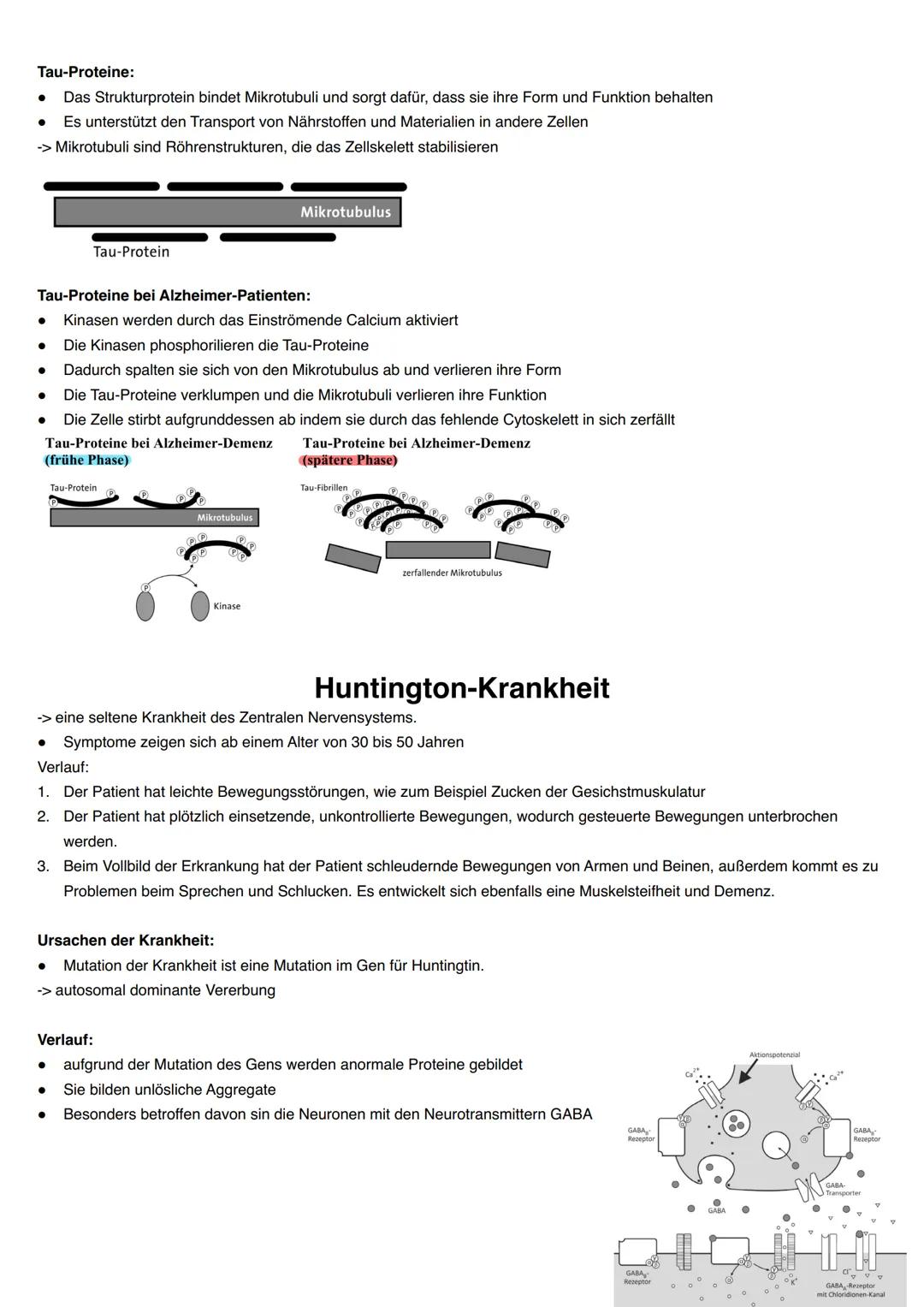 Q3.3 Neurologische Erkrankungen
grundlegendes Niveau (Grundkurs und Leistungskurs)
neurologisch bedingte Erkrankungen des Menschen (Prinzip: