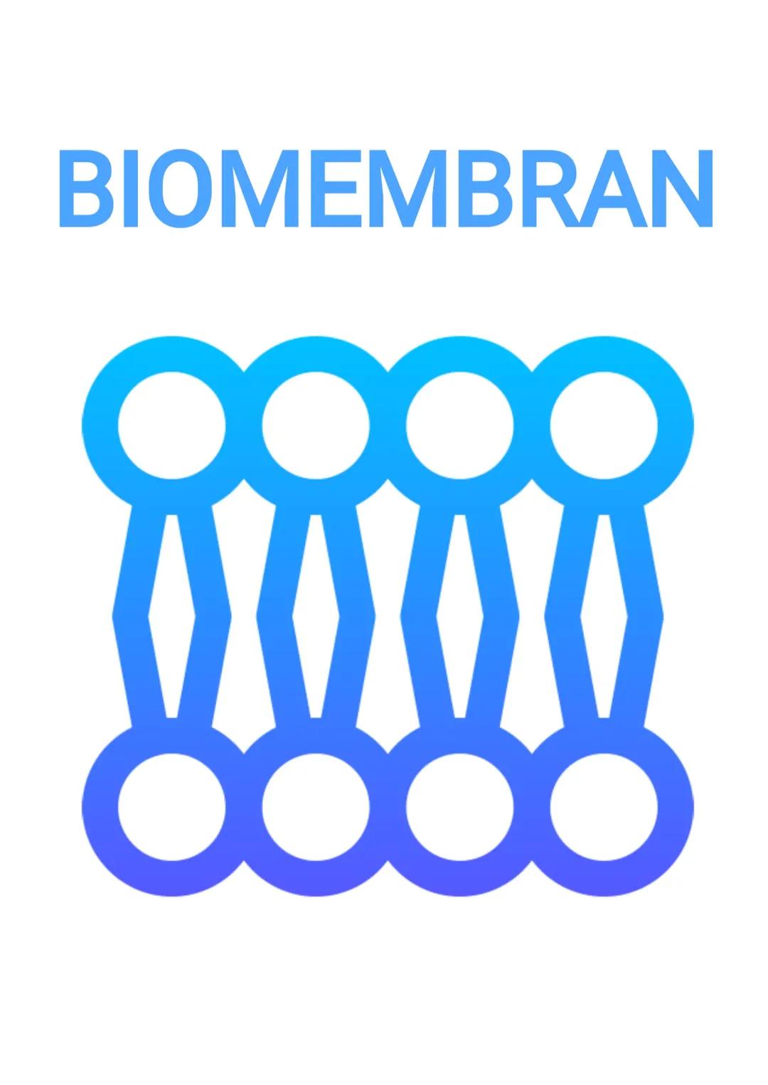 Biomembran | Biologie LK | Abitur | Baden-Württemberg