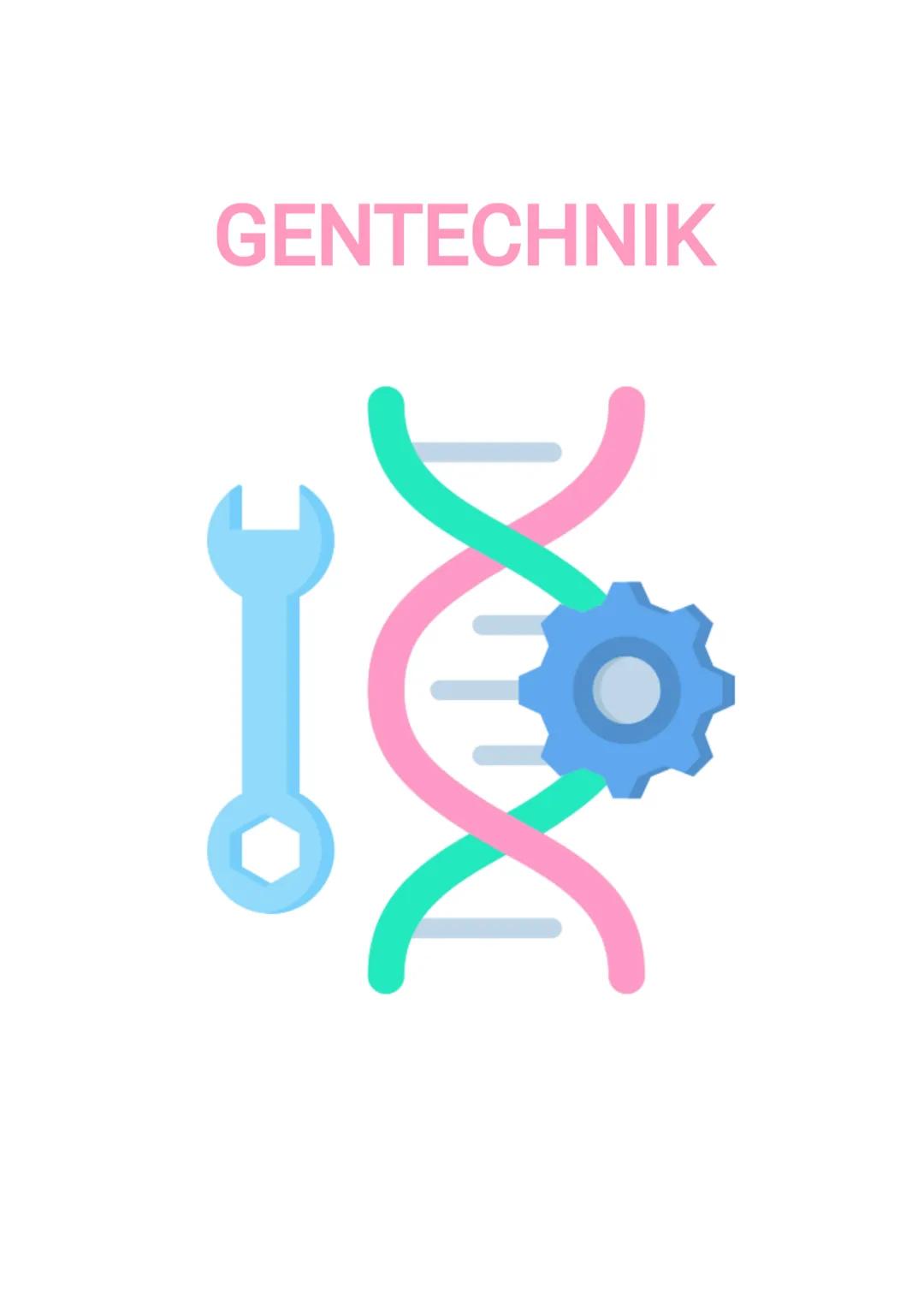 # GENTECHNIK 1. Werkzeuge der Gentechnik
1.1 Restriktionsenzyme
- Enzyme, die DNA an spezifischen Basensequenzen schneiden
- stammen aus Bak