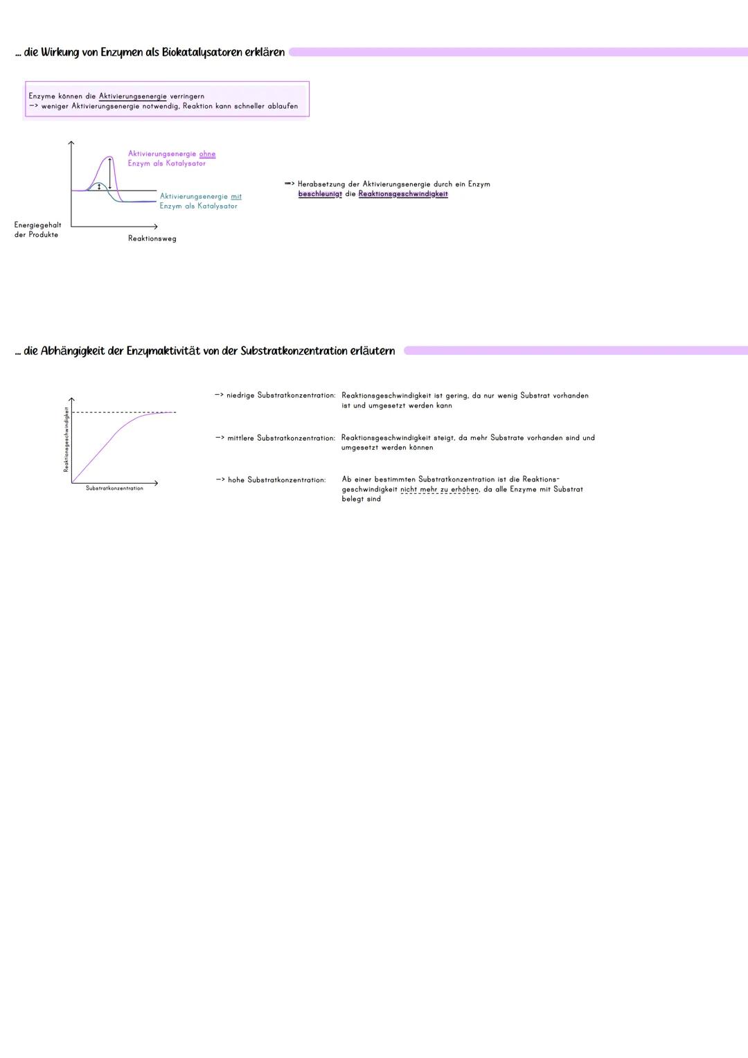 # Enzymatik
Ich kann...
... die durch Katalase katalysierte Reaktion beschreiben (Zersetzung von Wasserstoffperoxid zu Sauerstoff und Wass