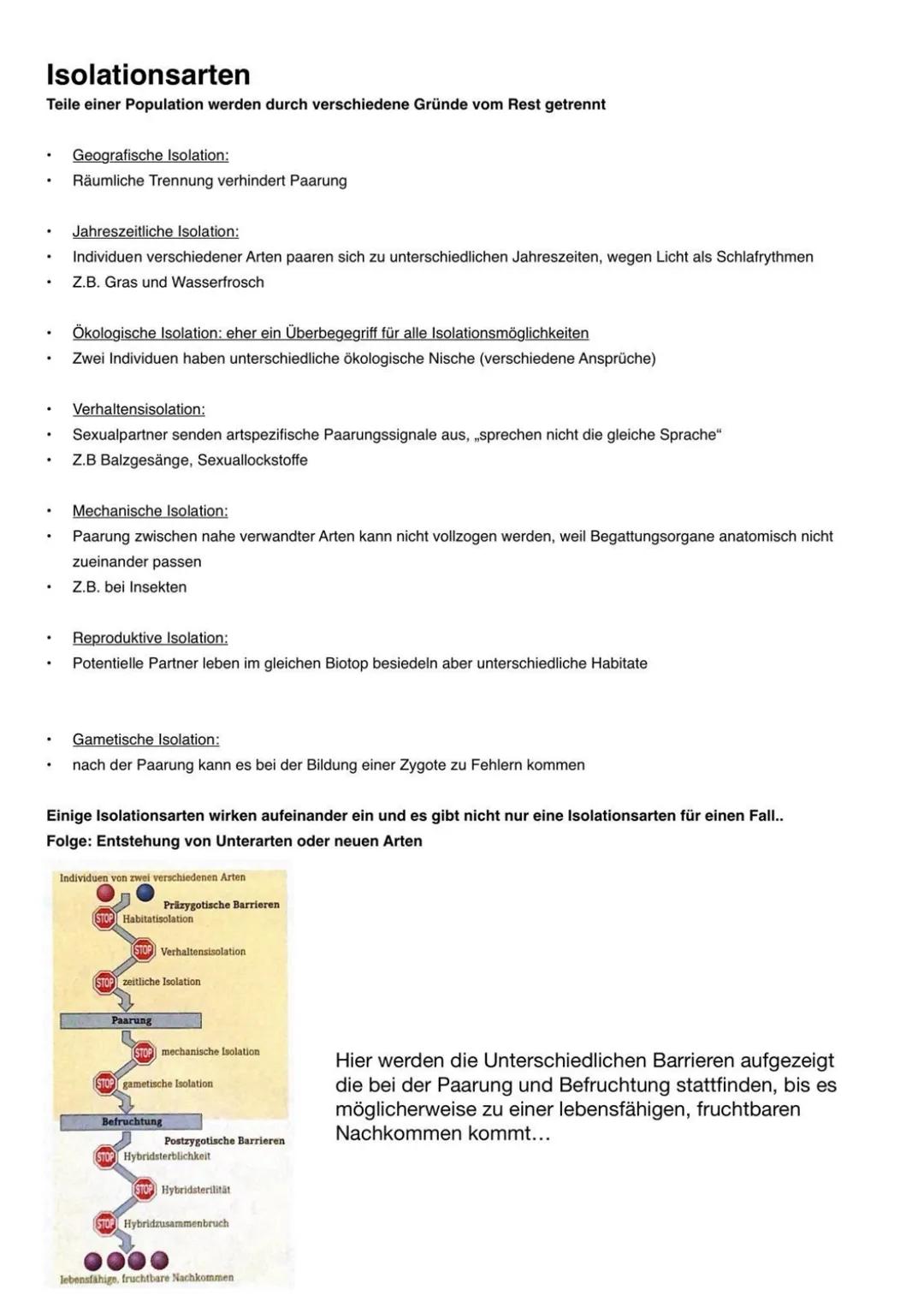 Synthetische Theorie der Evolution
.•
fasst Erkenntnisse aller biologischen Teilwissenschaften zusammen
berücksichtigt die grundlegenden Ges