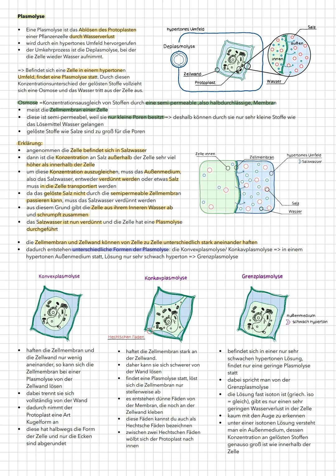 Plasmolyse/ Deplasmolyse