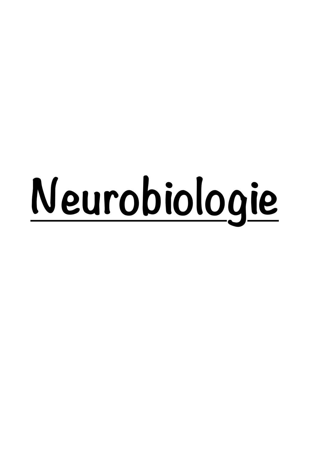 Neurobiologie Bio LK
