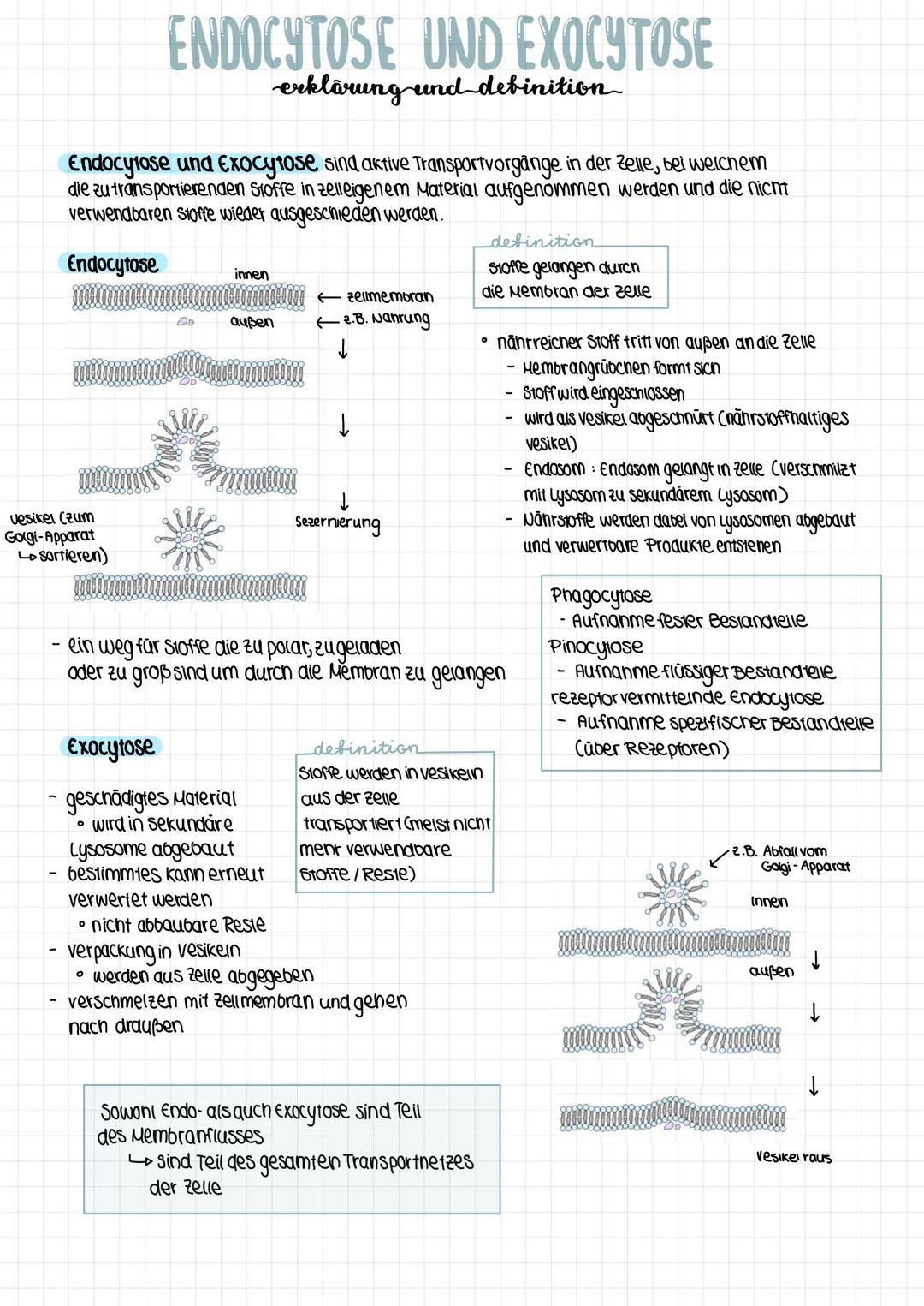 # ENDOCYTOSE UND EXOCYTOSE
erklärung und definition
Endocytose und Exocytose sind e Transportvorgänge in der Zelle, bei welchem
die zu tra
