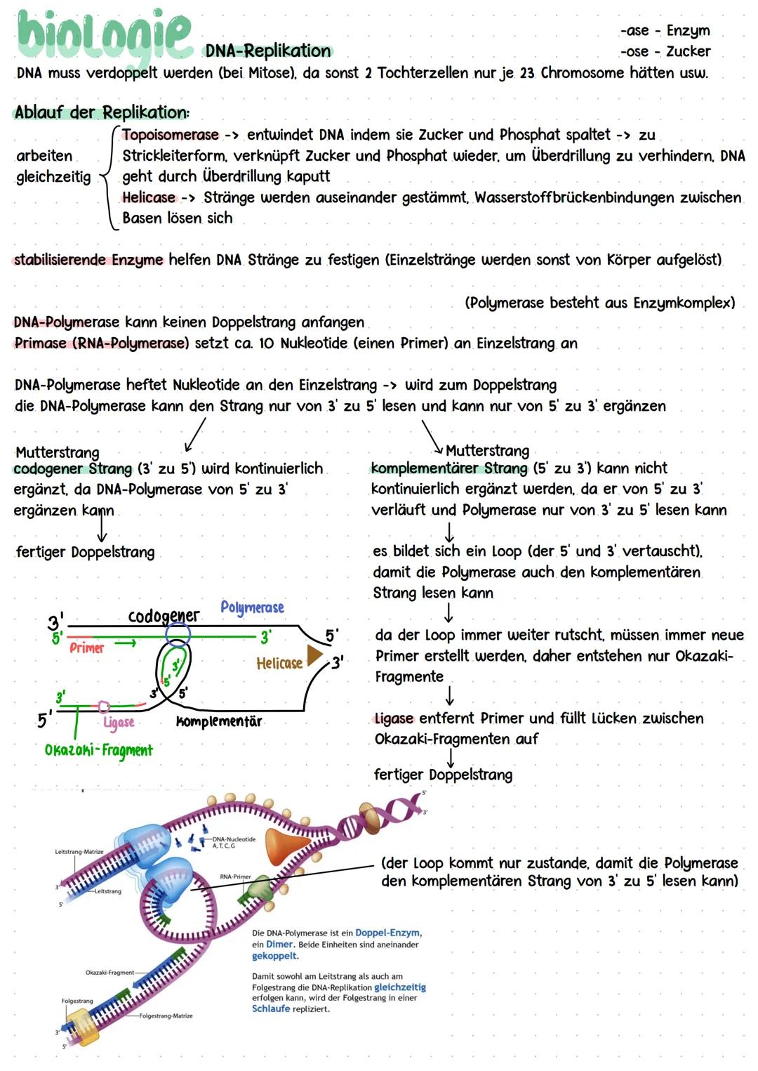 Kurshalbjahr „Ontogenese und Genetik des Menschen"
* Grundlagen DNA
* Meiose
Stammbaumanalyse + Mendelsche Regeln
Molekulare Grundlag