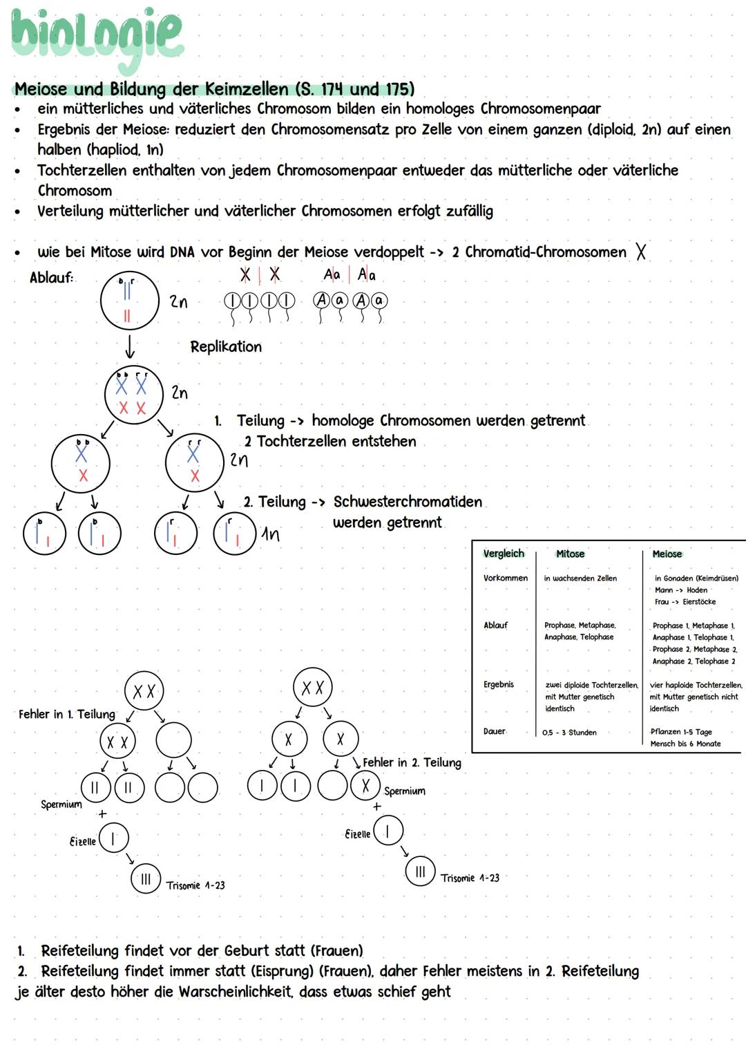 Kurshalbjahr „Ontogenese und Genetik des Menschen"
* Grundlagen DNA
* Meiose
Stammbaumanalyse + Mendelsche Regeln
Molekulare Grundlag
