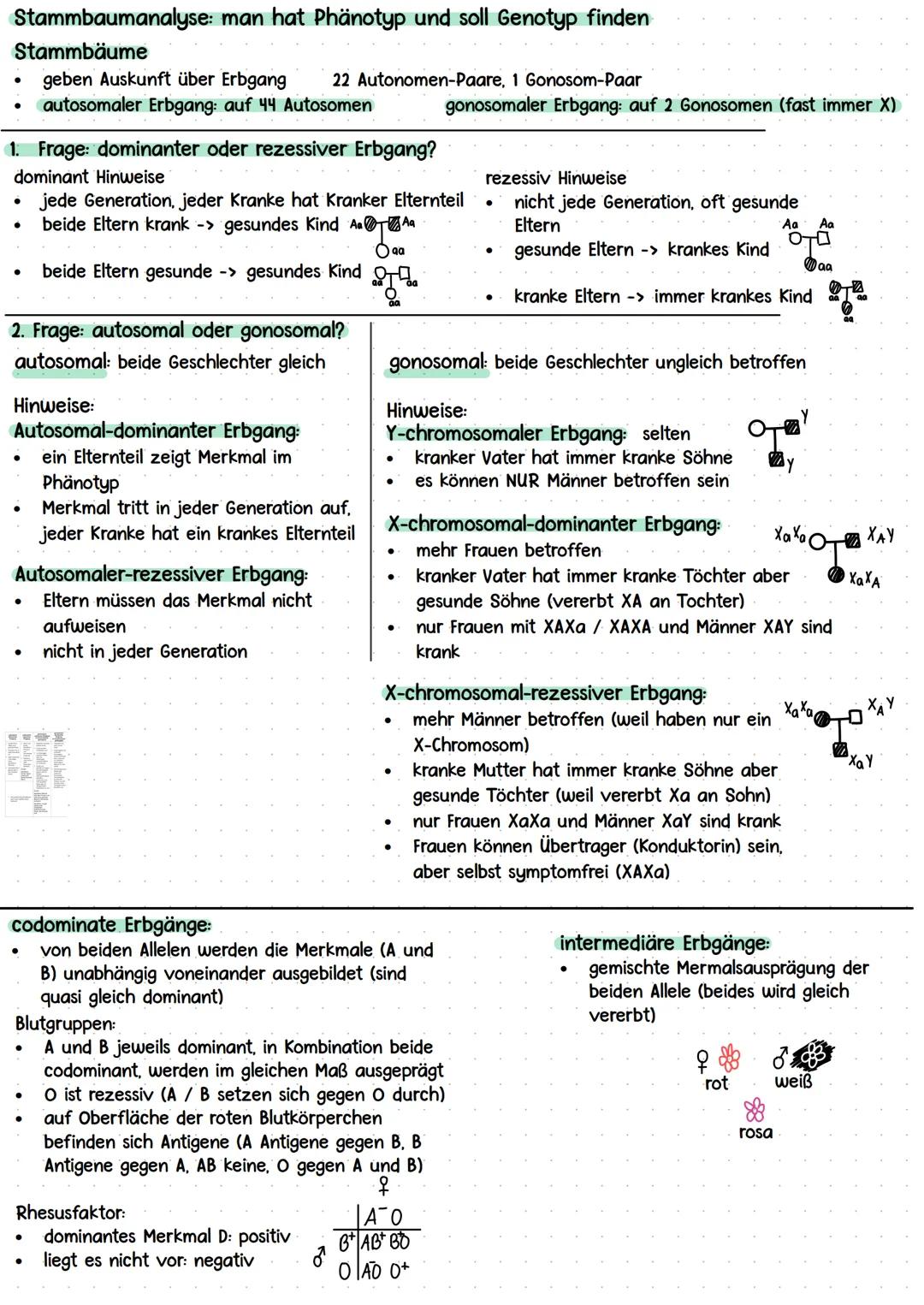 Kurshalbjahr „Ontogenese und Genetik des Menschen"
* Grundlagen DNA
* Meiose
Stammbaumanalyse + Mendelsche Regeln
Molekulare Grundlag