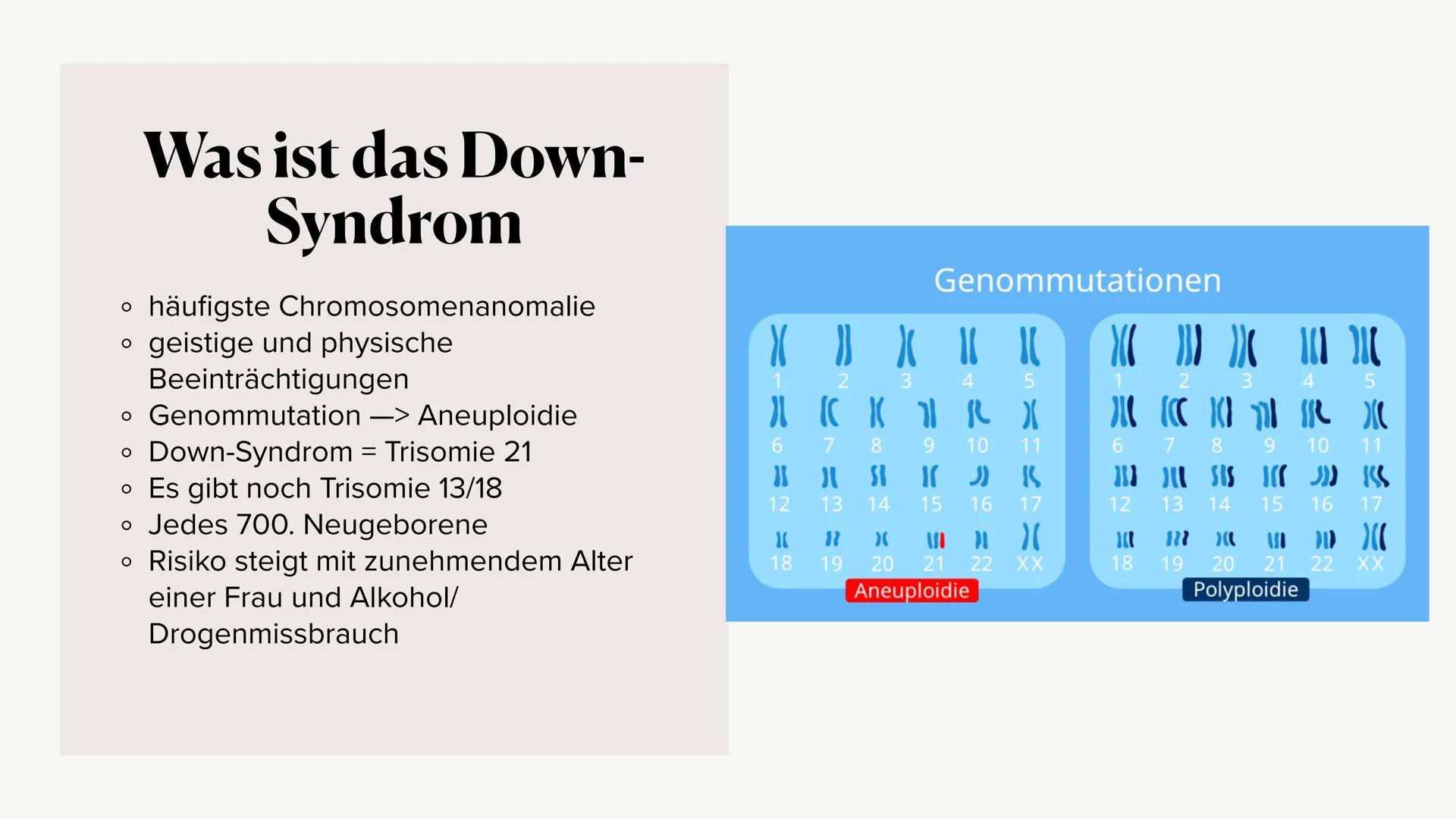 Das
DOWN-
SYNDROM Gliederung
o Was ist das Down-Syndrom?
• Ursache
• Entdeckung
• Formen des Down-Syndroms
。 Diagnosemöglichkeiten
o Krankhe