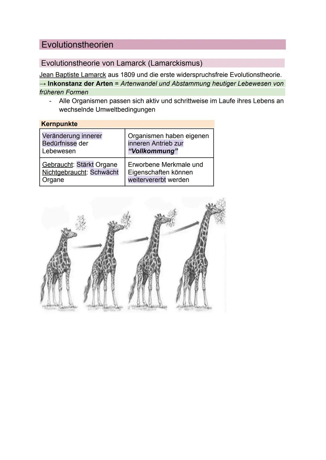 # Evolution
Themen
* Glossar
* Evolutionstheorien
* Evolutionstheorie von Lamarck (Lamarckismus)
* Evolutionstheorien von