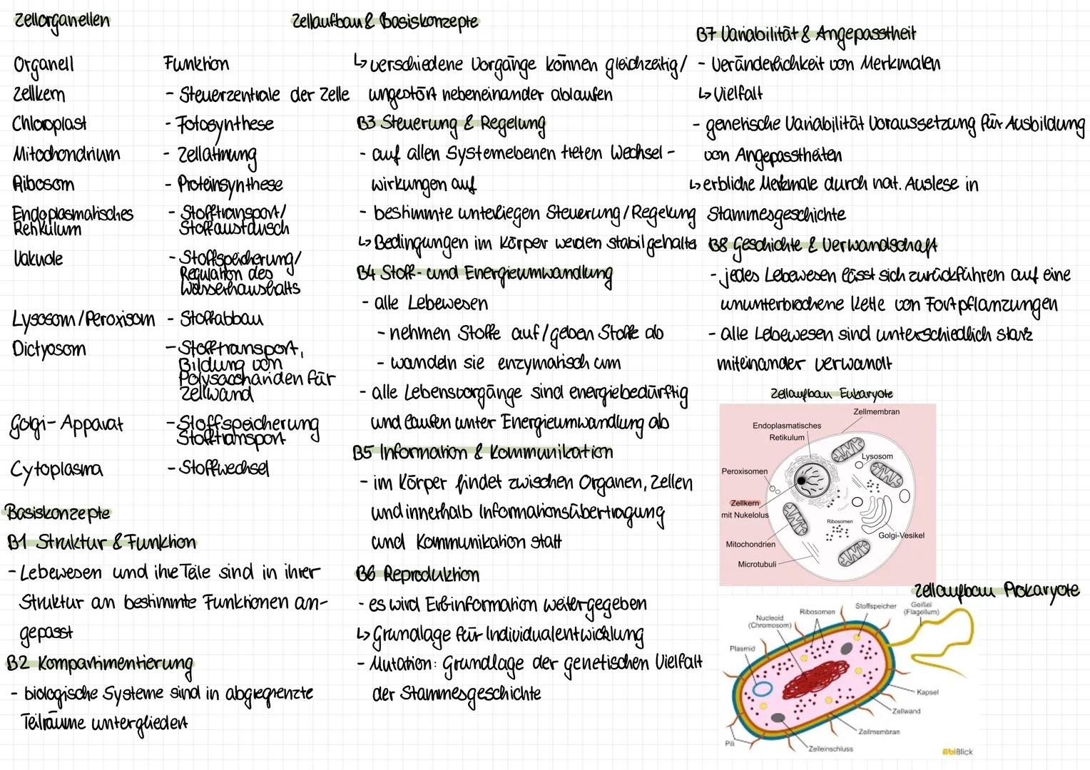Zellorganellen
Organell
Zellkem
Chloroplast
Mitochondrium
Ribosom
Rehkulum
Vakuole
Endoplasmatisches
Funktion
Zellaufbau & Basiskonzepte
67