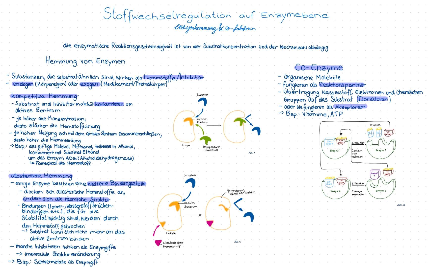 # Stoffwechselregulation auf Enzymebene
* enzymhemmung & Co-fabforn
die enzymatische Reaktionsgeschwindigkeit ist von der Substratkonzentr