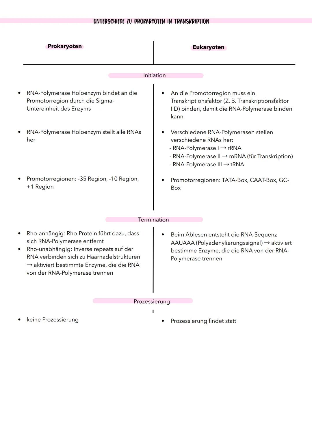 WAS IST PROTEINBIOSYNTHESE?
Proteinbiosynthese
• Herstellung von Protein auf der Grundlage einer Nukleinsäure
Vorgang der Expression (Ausdru