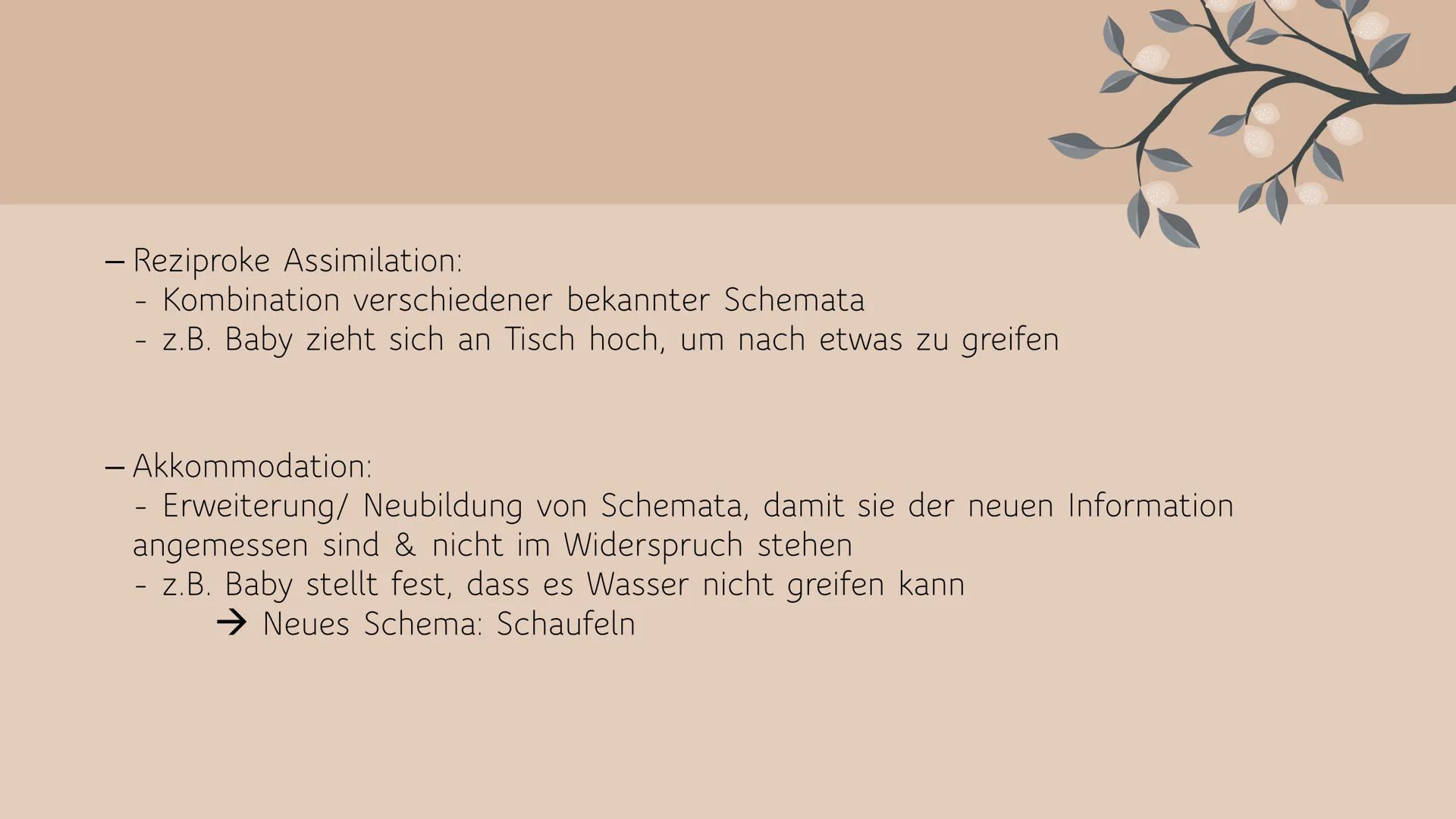 # KOGNITIVE
# ENTWICKLUNG
NACH JEAN PIAGET
Eine Präsentation von Angelina Cozza JEAN PIAGET
- Geboren: 9. August 1896
- Gestorben: 16. S