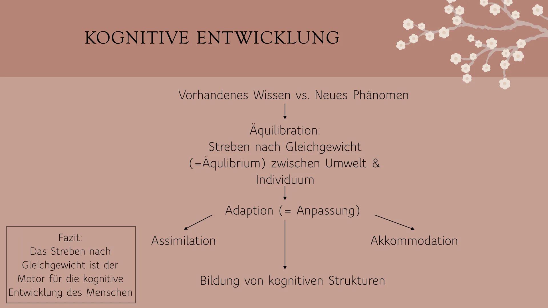 # KOGNITIVE
# ENTWICKLUNG
NACH JEAN PIAGET
Eine Präsentation von Angelina Cozza JEAN PIAGET
- Geboren: 9. August 1896
- Gestorben: 16. S