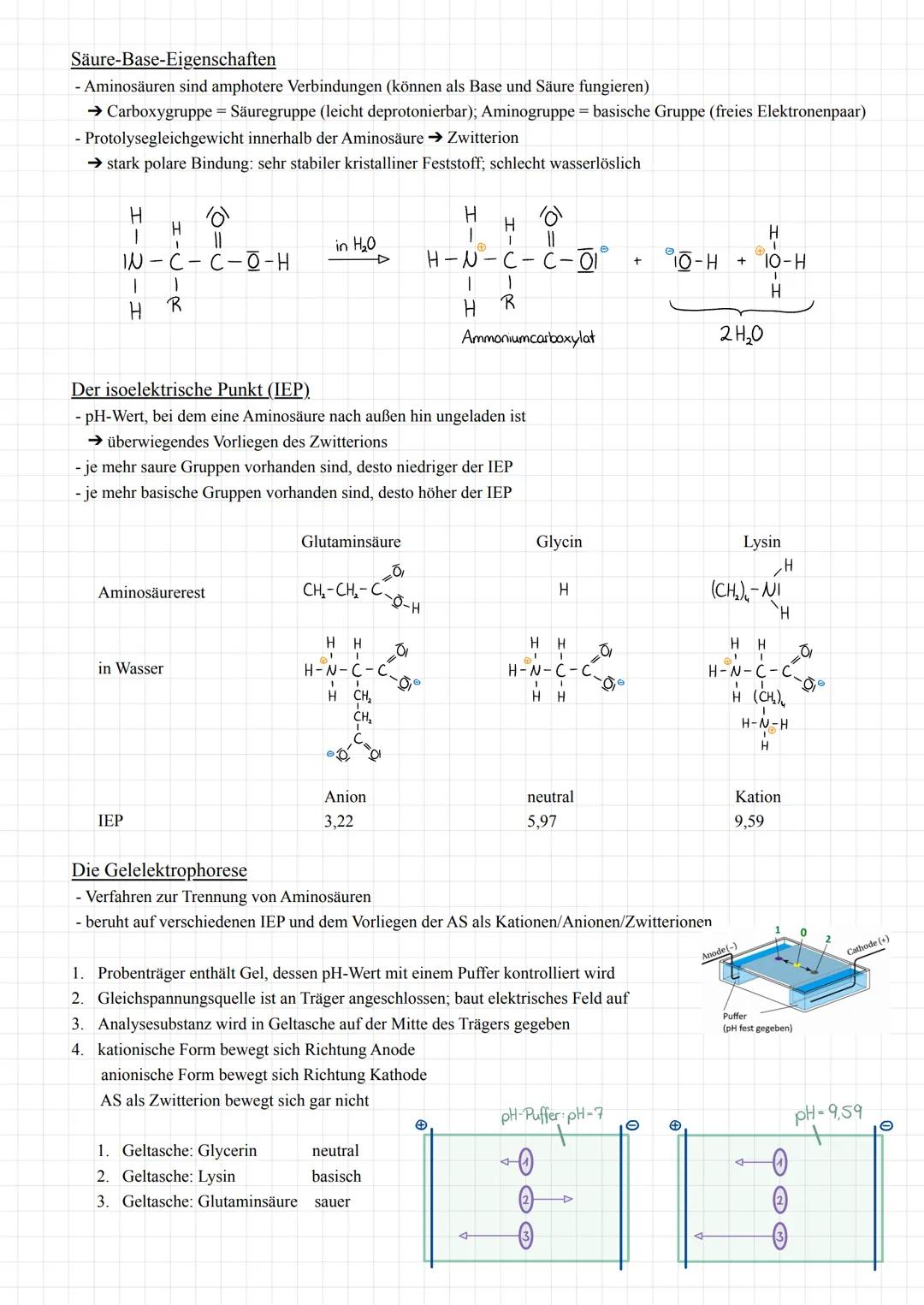 # Q2.1 Kohlenhydrate und Peptide
Monosaccharide (Einfachzucker)
- allgemeine Summenformel von Zucker: $C_n H_{2n} O_n$
- Zucker werden nac