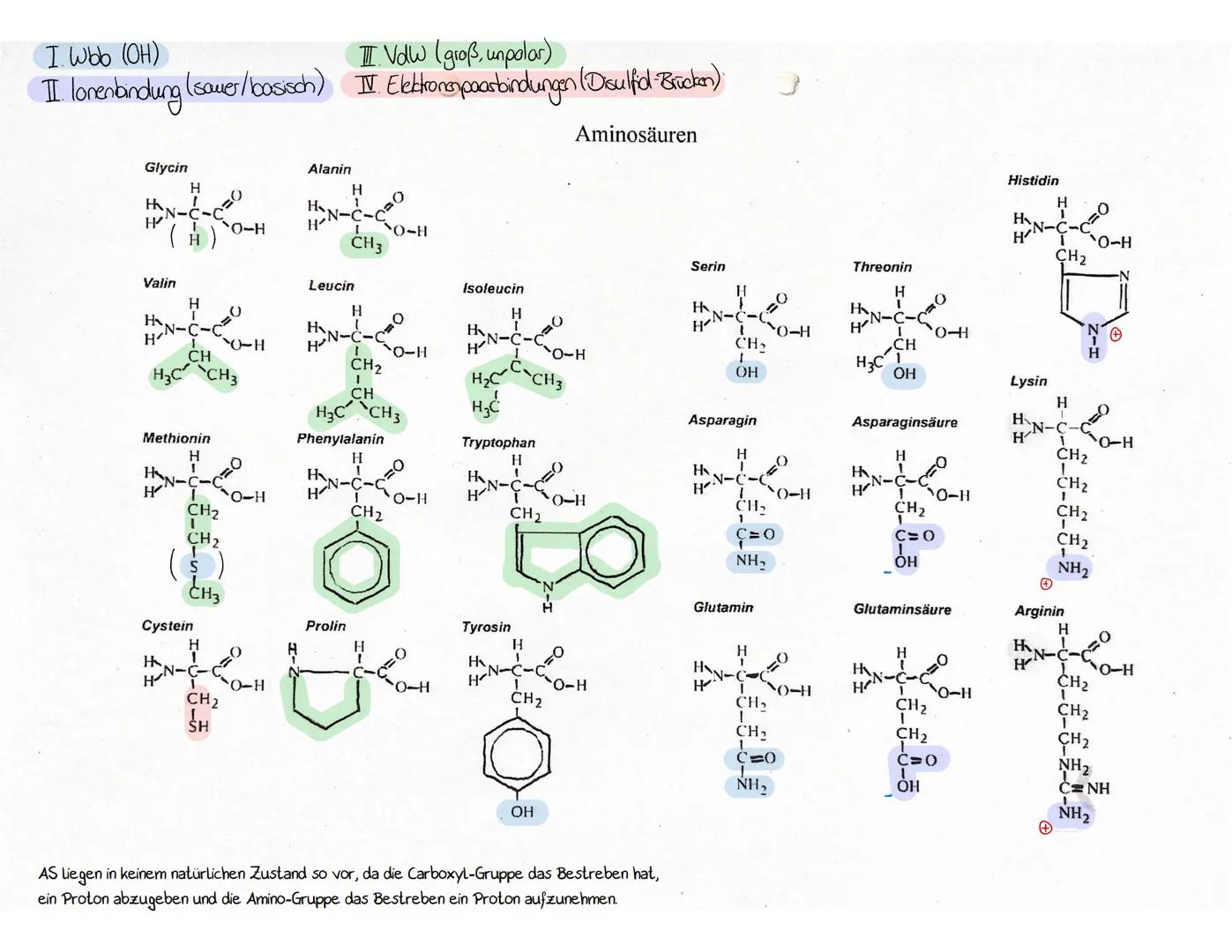 # Q2.1 Kohlenhydrate und Peptide
Monosaccharide (Einfachzucker)
- allgemeine Summenformel von Zucker: $C_n H_{2n} O_n$
- Zucker werden nac