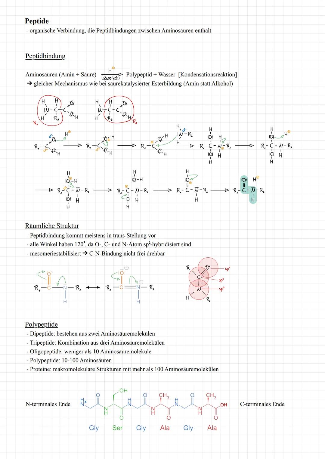 # Q2.1 Kohlenhydrate und Peptide
Monosaccharide (Einfachzucker)
- allgemeine Summenformel von Zucker: $C_n H_{2n} O_n$
- Zucker werden nac