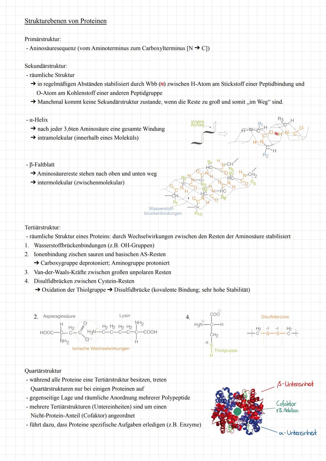 # Q2.1 Kohlenhydrate und Peptide
Monosaccharide (Einfachzucker)
- allgemeine Summenformel von Zucker: $C_n H_{2n} O_n$
- Zucker werden nac