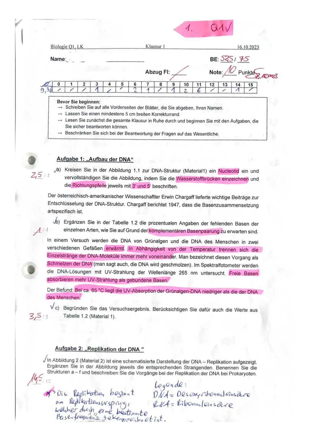 DNA Replikation