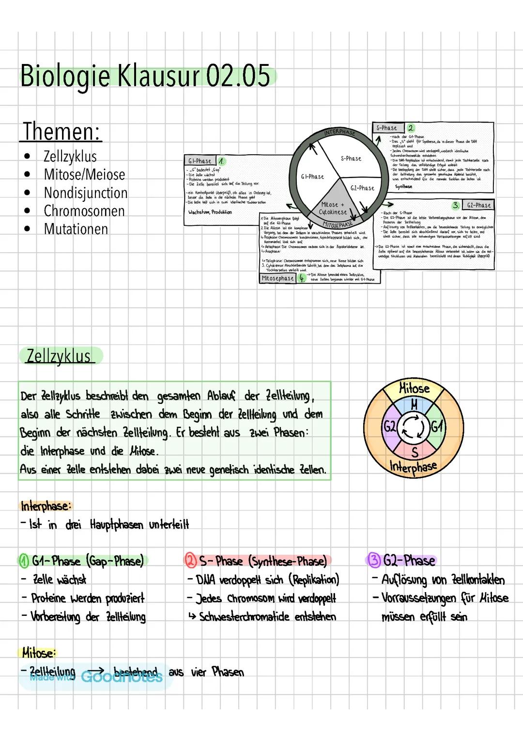 Zellzyklus, Chromosomen