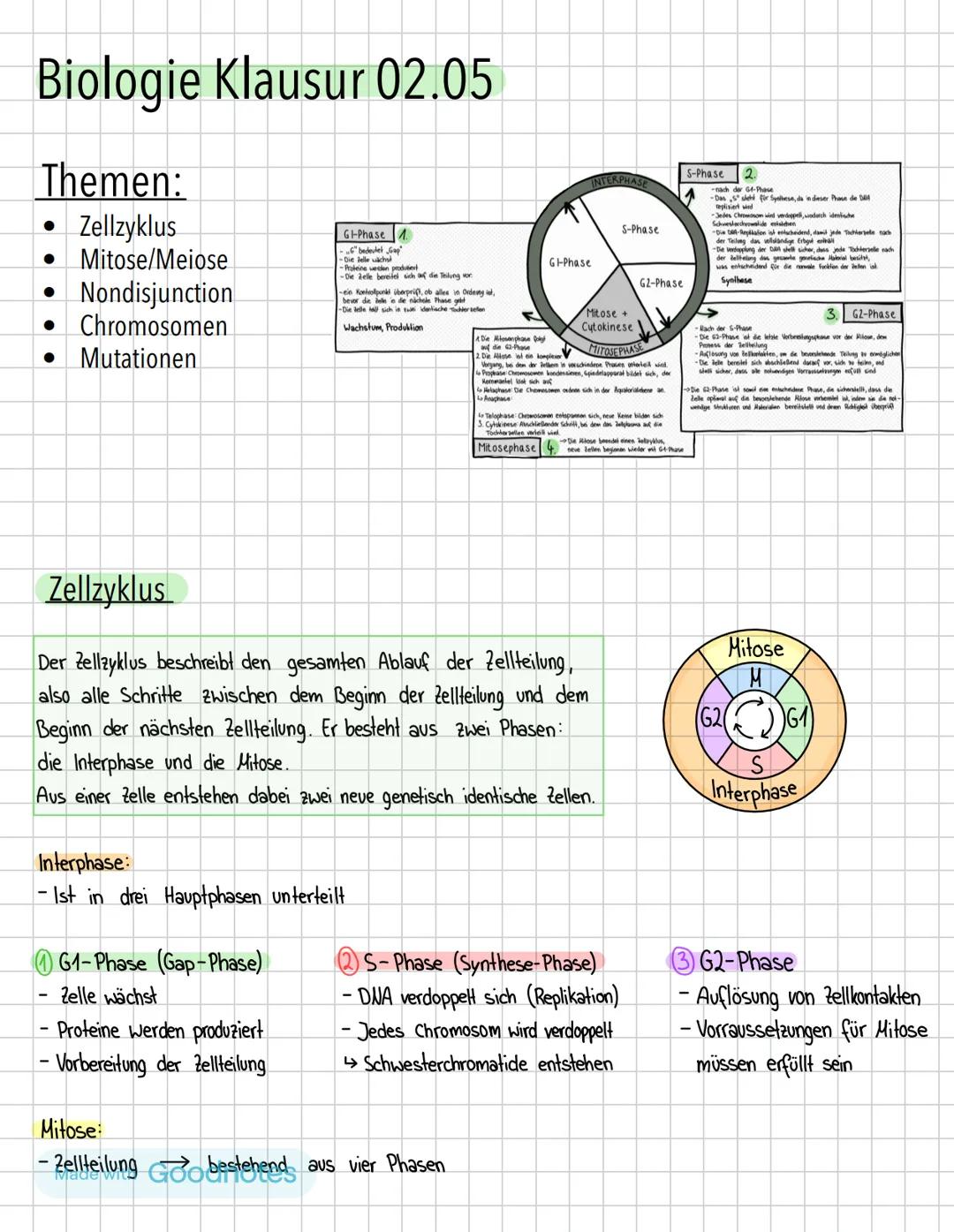 Biologie Klausur 02.05
Themen:
·
•
Zellzyklus
Mitose/Meiose
• Nondisjunction
• Chromosomen
G-Phase 1
"G" bedeutet „Gap"
-Die Jelle wächst
-P