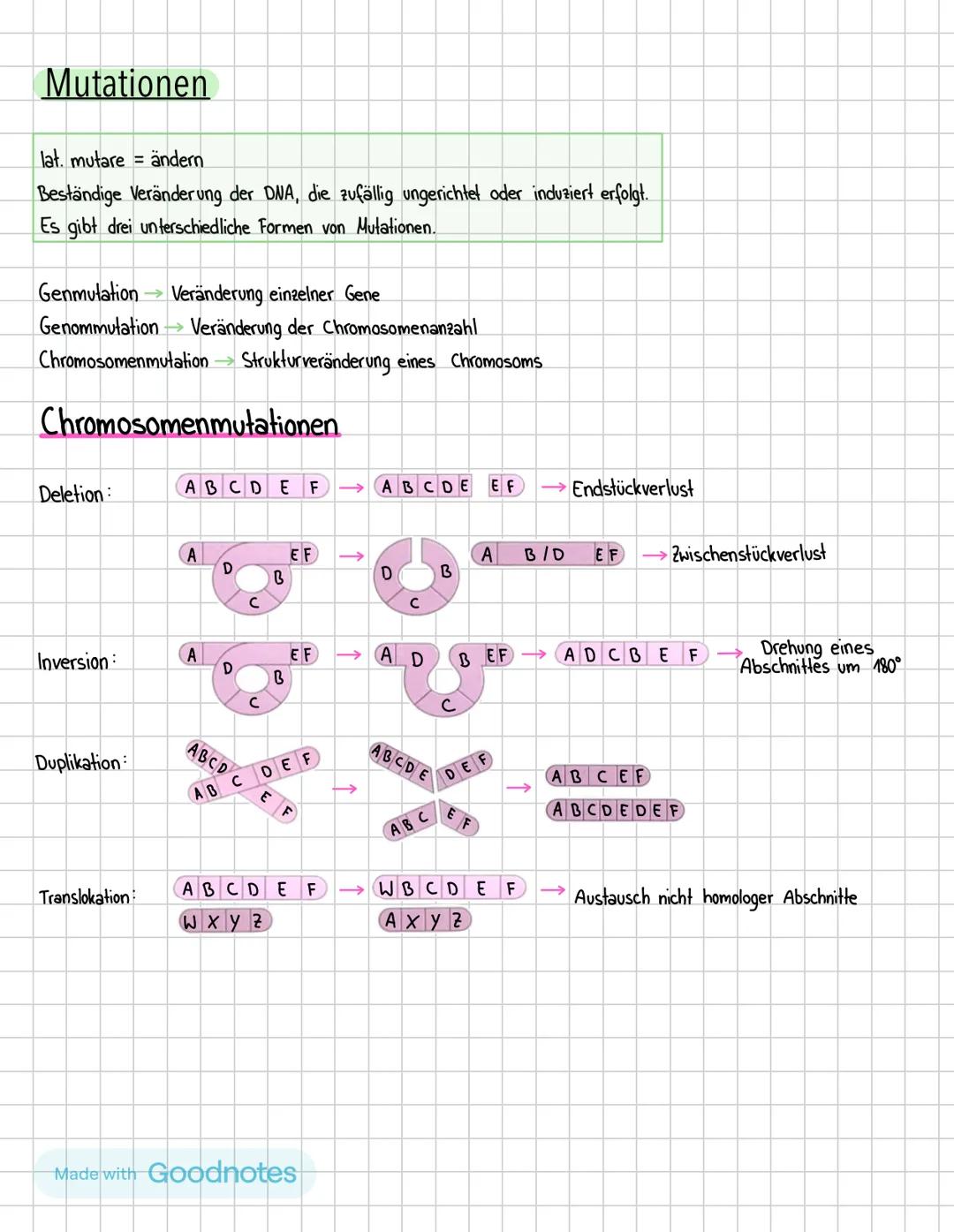Biologie Klausur 02.05
Themen:
·
•
Zellzyklus
Mitose/Meiose
• Nondisjunction
• Chromosomen
G-Phase 1
"G" bedeutet „Gap"
-Die Jelle wächst
-P