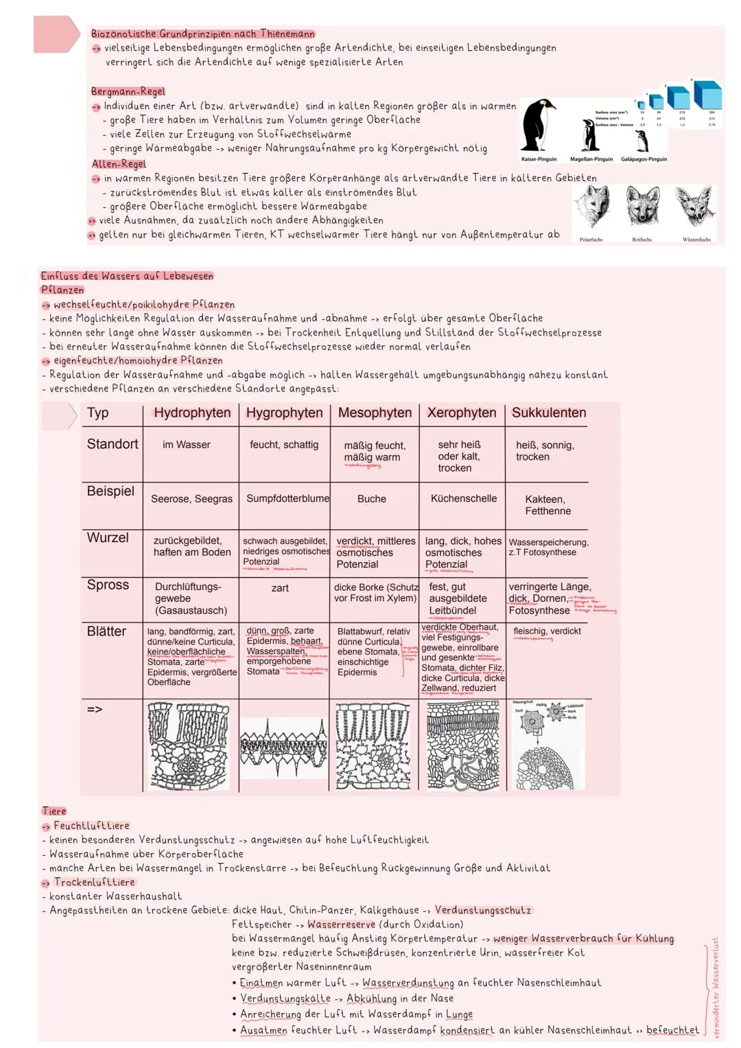 biotische Faktoren
abiotische Umweltfaktoren
AMERAW
Anegan Enes ÖKOSYSTEMS
Lebewesen und unbelebte Umgebung stehen in wechselseitiger Bezieh