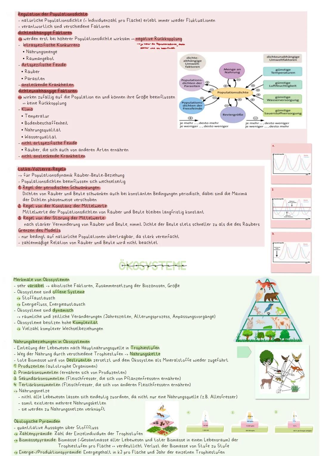biotische Faktoren
abiotische Umweltfaktoren
AMERAW
Anegan Enes ÖKOSYSTEMS
Lebewesen und unbelebte Umgebung stehen in wechselseitiger Bezieh