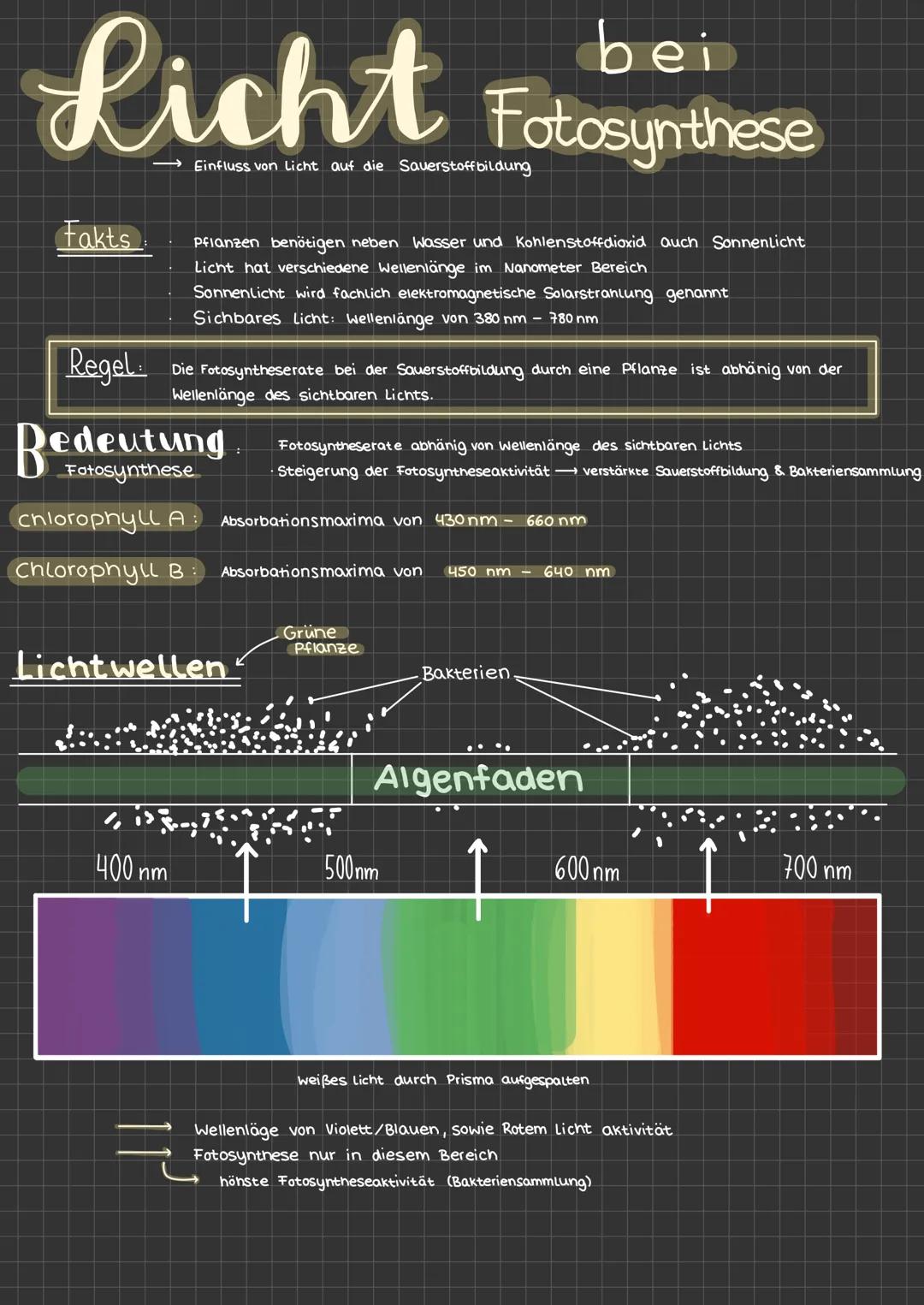 # Fotosynthese
Facts:
ما
$H_2O$
$CO_2$
* Pflanzen benötigen wasser, Sonnenlicht und Kohlenstoffdioxid
* Grünpflanzen synthetisieren