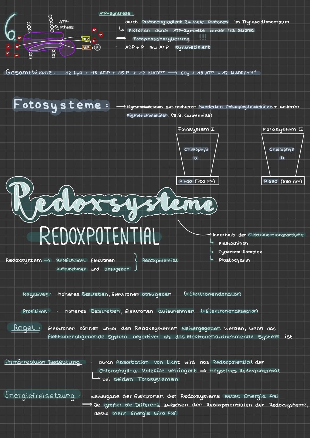 # Fotosynthese
Facts:
ما
$H_2O$
$CO_2$
* Pflanzen benötigen wasser, Sonnenlicht und Kohlenstoffdioxid
* Grünpflanzen synthetisieren