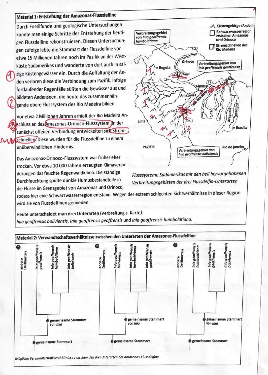 Die Evolution von Flussdelfinen in Südamerika
Wale und Delfine sind meeresbewohnende Säugetiere, die vor 50 bis 40 Milli-
onen Jahren aus la