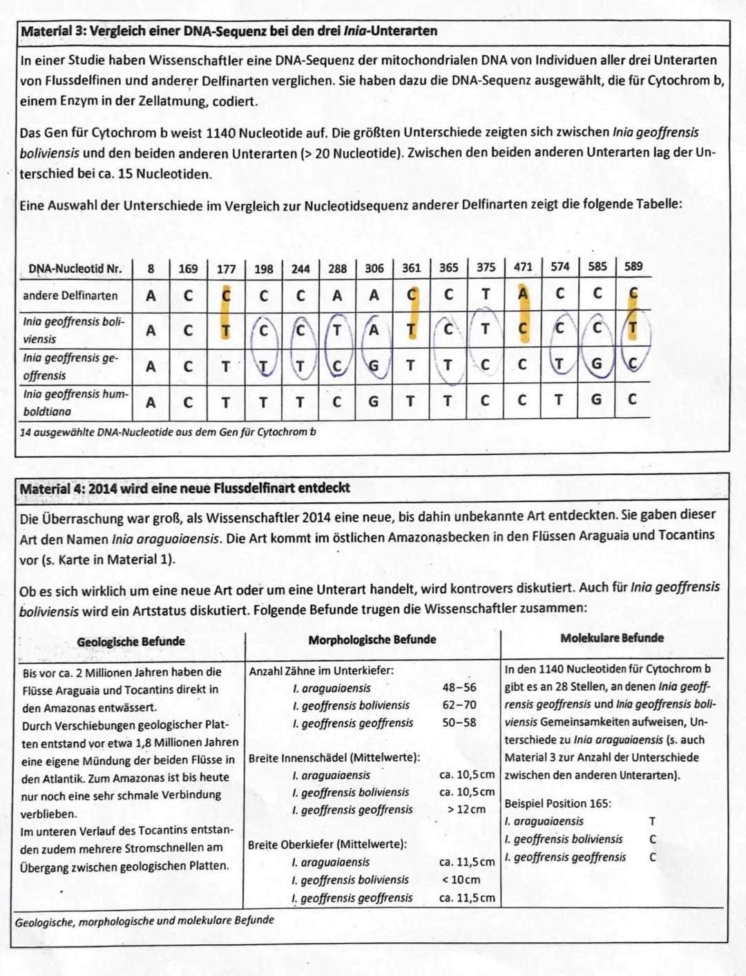 Die Evolution von Flussdelfinen in Südamerika
Wale und Delfine sind meeresbewohnende Säugetiere, die vor 50 bis 40 Milli-
onen Jahren aus la