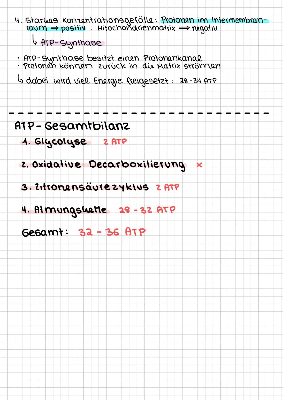 # Zellatmung im Allgemeinen
- die zum überleben notwendige Energie gewinnt der
Organismus im Stoffwechsel
- Eine gesteuerte Umsetzung von S