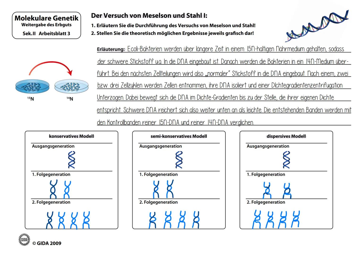 # Molekulare Genetik
Weitergabe des Erbguts
Sek.II Arbeitsblatt 3
# Der Versuch von Meselson und Stahl I:
1. Erläutern Sie die Durchführung