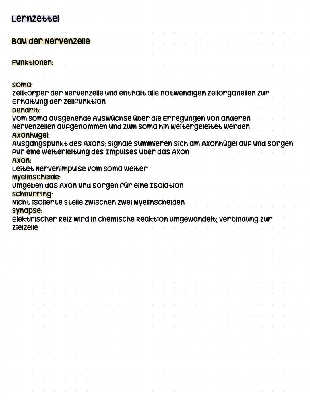 Lernzettel
Reiz-Reaktions Kette
Definition Reiz:
Umwelteinfluss, der auf einen organismus einwirkt und an spezifischen zellen
(Rezeptoren) E