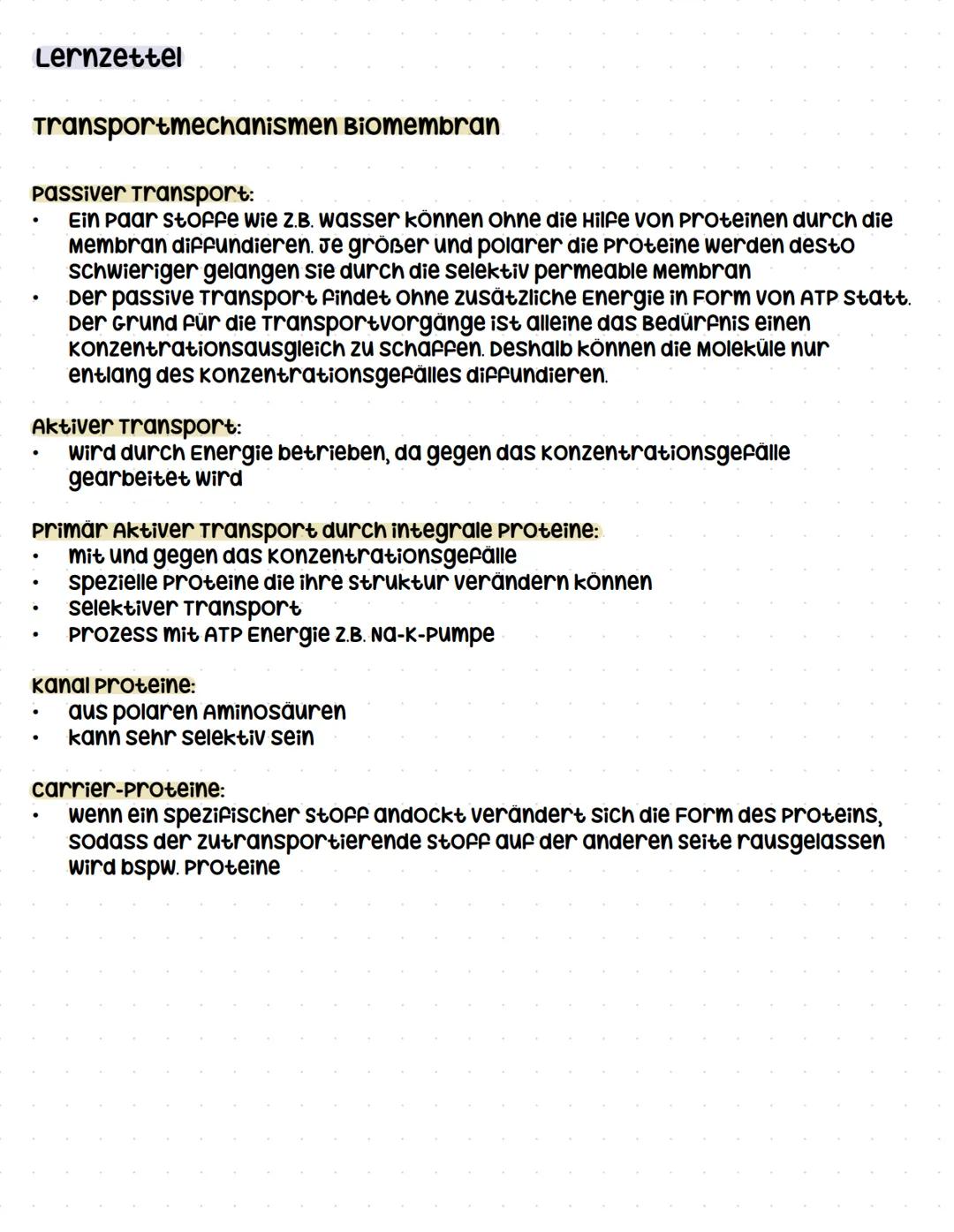 Lernzettel
Reiz-Reaktions Kette
Definition Reiz:
Umwelteinfluss, der auf einen organismus einwirkt und an spezifischen zellen
(Rezeptoren) E